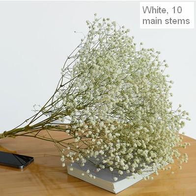 A bunch white babys breath  (about 20 stems)