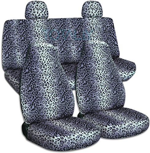 Gray Leopard