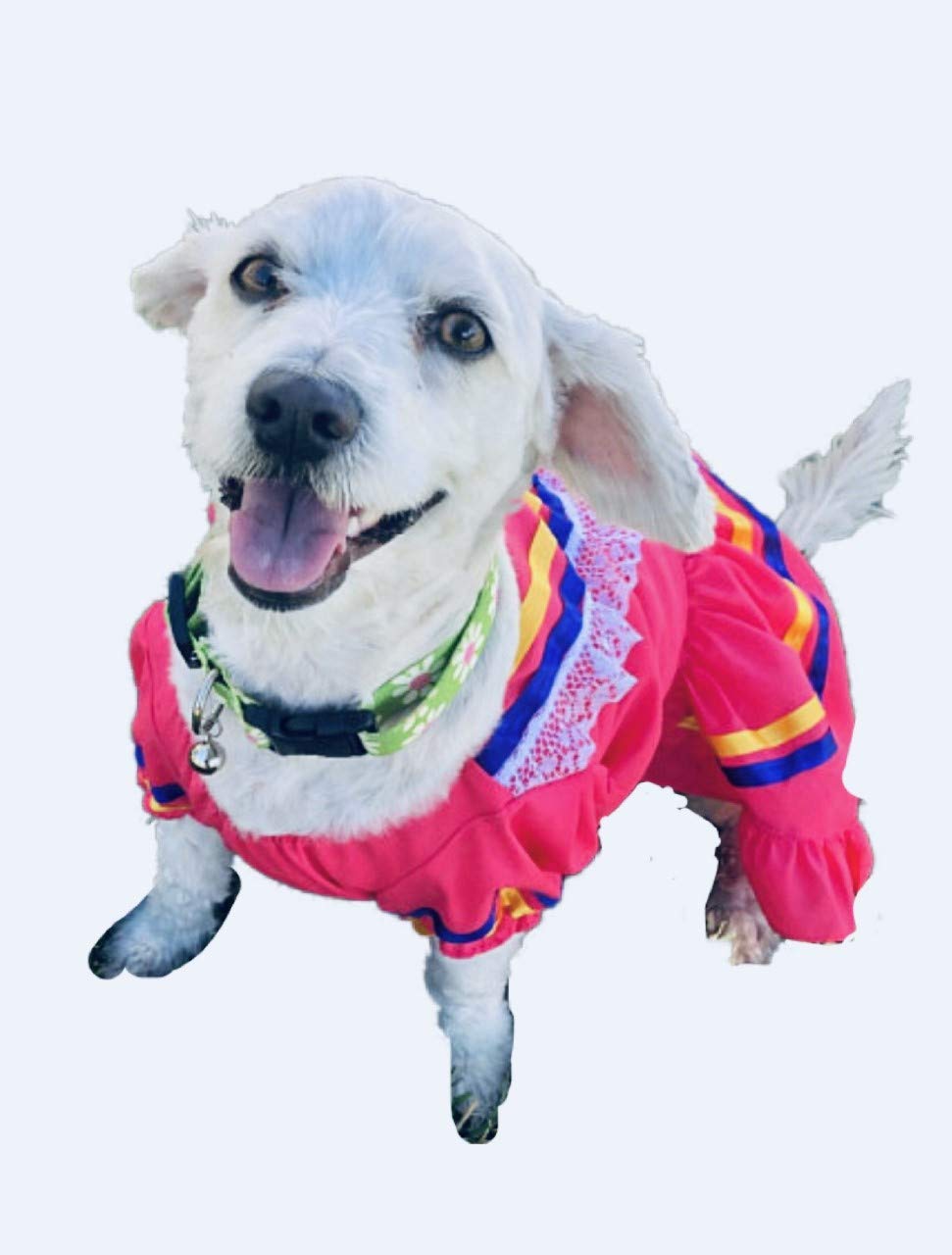 Escaramuza Dog Dress - Traditional Mexican Costume for Small & Medium Dogs - Perfect for Parties, Halloween & Cultural Events