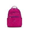 Pink Fuchsia