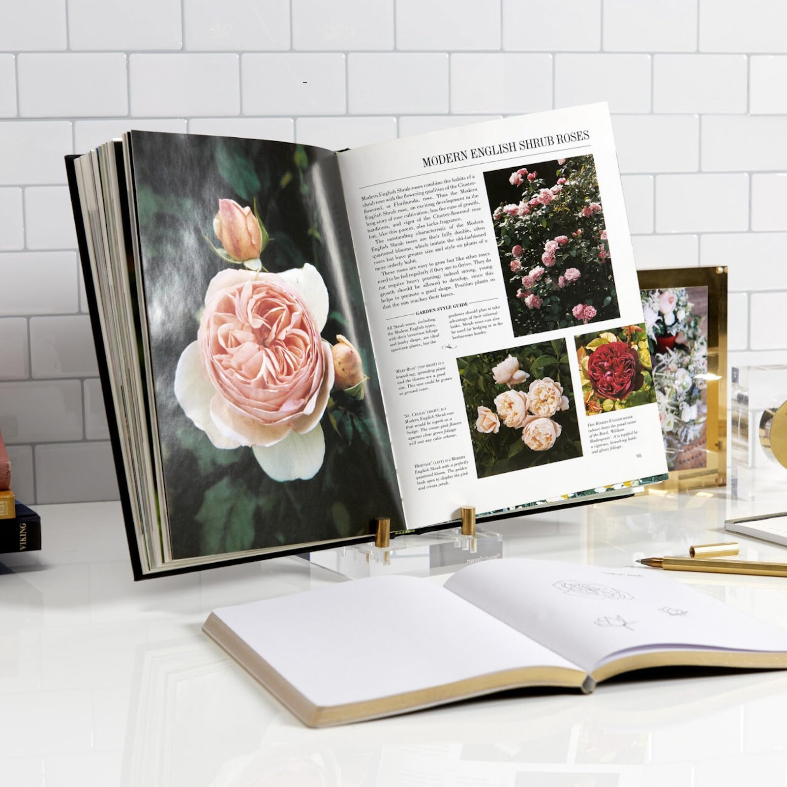 Russell+Hazel Adjustable Acrylic Easel Stand - Gold Pegs for Displaying 4x6 Pictures, Phones & Art - Clear Modern Photo Holder with Gold Accents - Perfect for Home Decor, Office Desk or Gift Giving