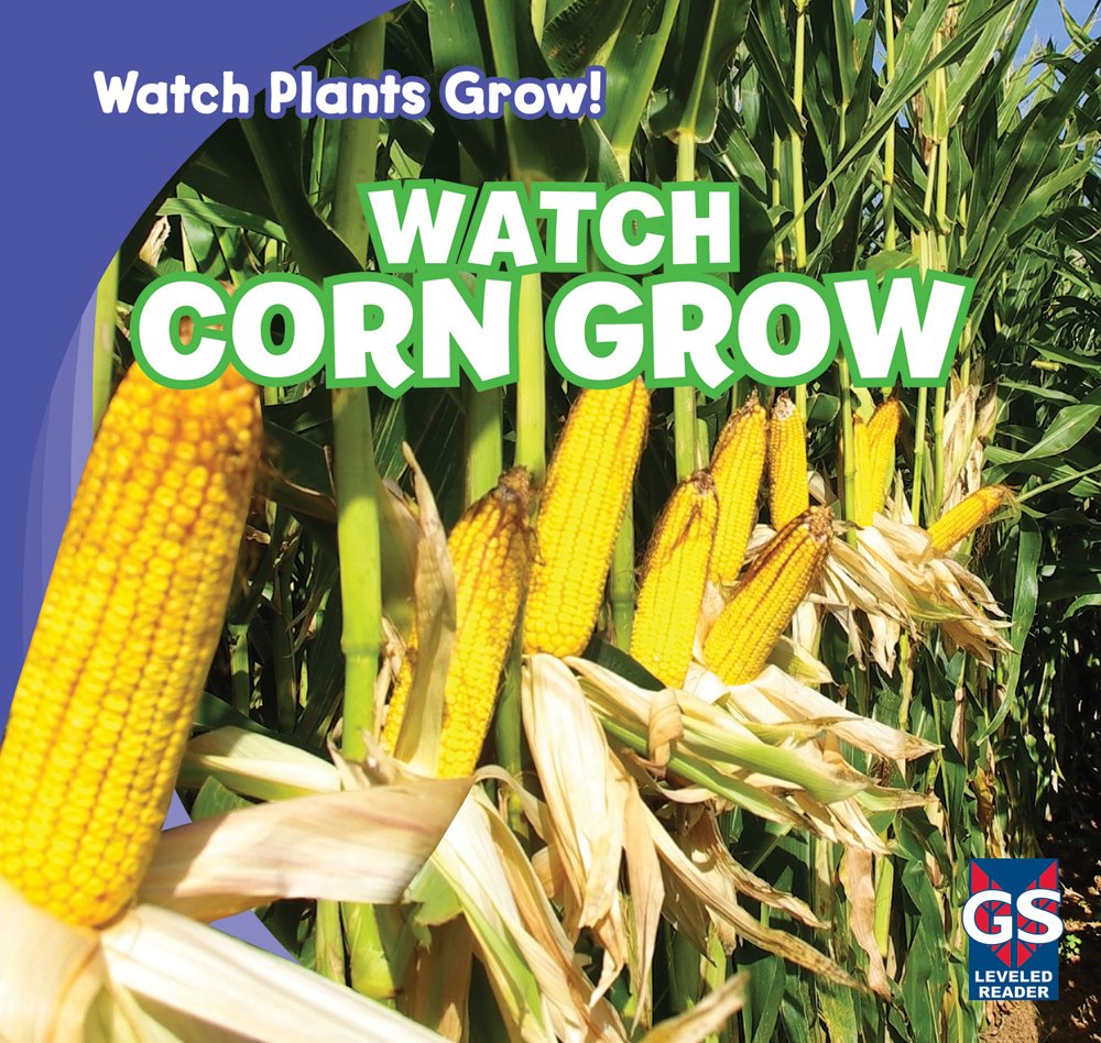 Watch Corn Grow - Educational Plant Growth Kit for Kids | Fun STEM Learning Activity for Home & Classroom