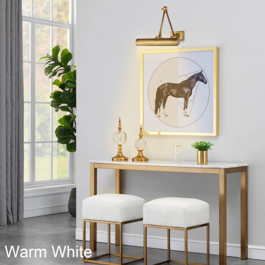 Xander Double Plug-In Hardwired Picture Light - Artwork & Wall Decor Lighting for Galleries, Museums & Home Display