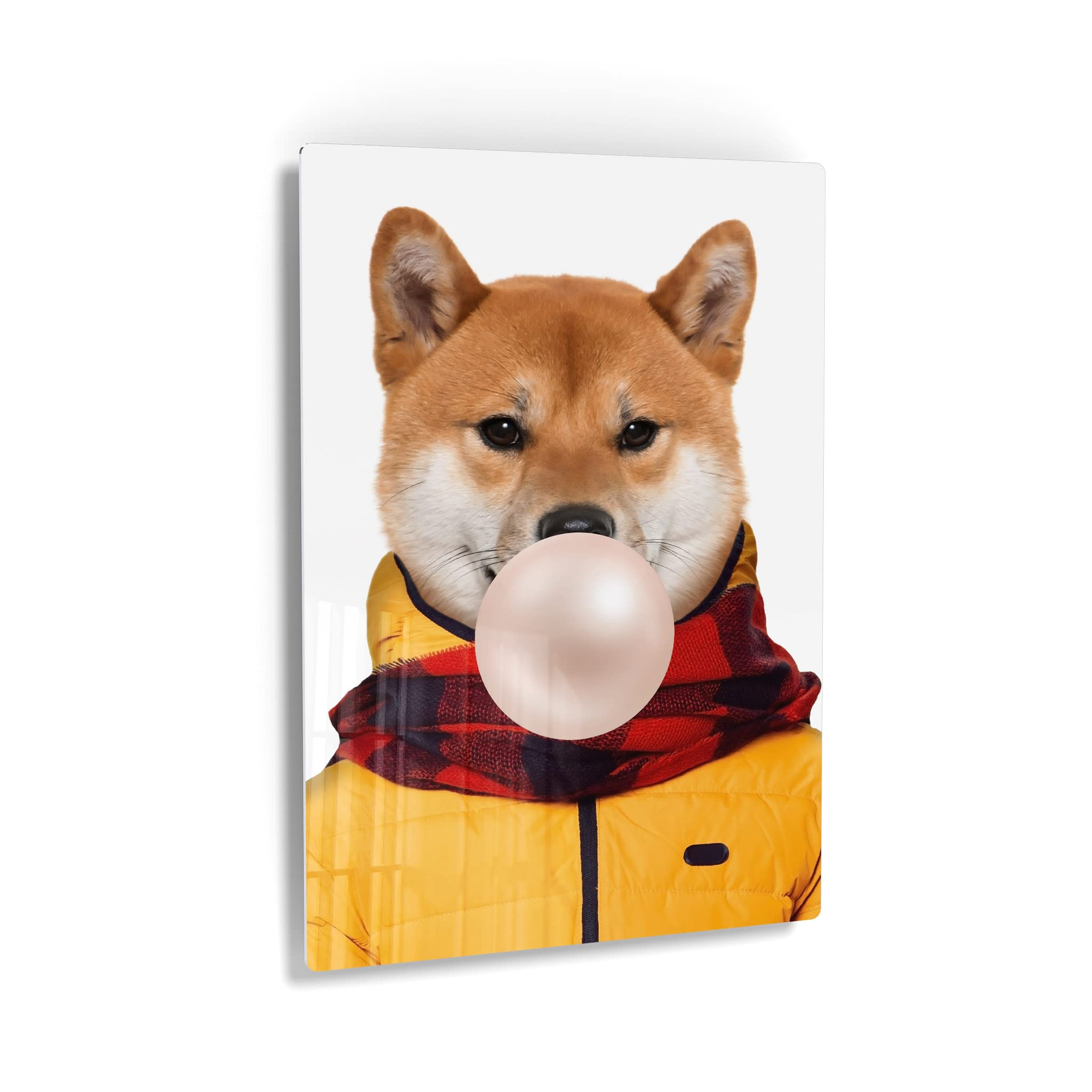 Shiba Inu Dog Portrait Wall Art - Pop Art Metal Print of Cute Dog Wearing Coat & Chewing Bubble Gum - Unique Pet Lover Gift for Office, Living Room, Bedroom, Nursery Decor (40x30 Inches) - Perfect for Animal-Themed Spaces & Dog Enthusiast Home Décor