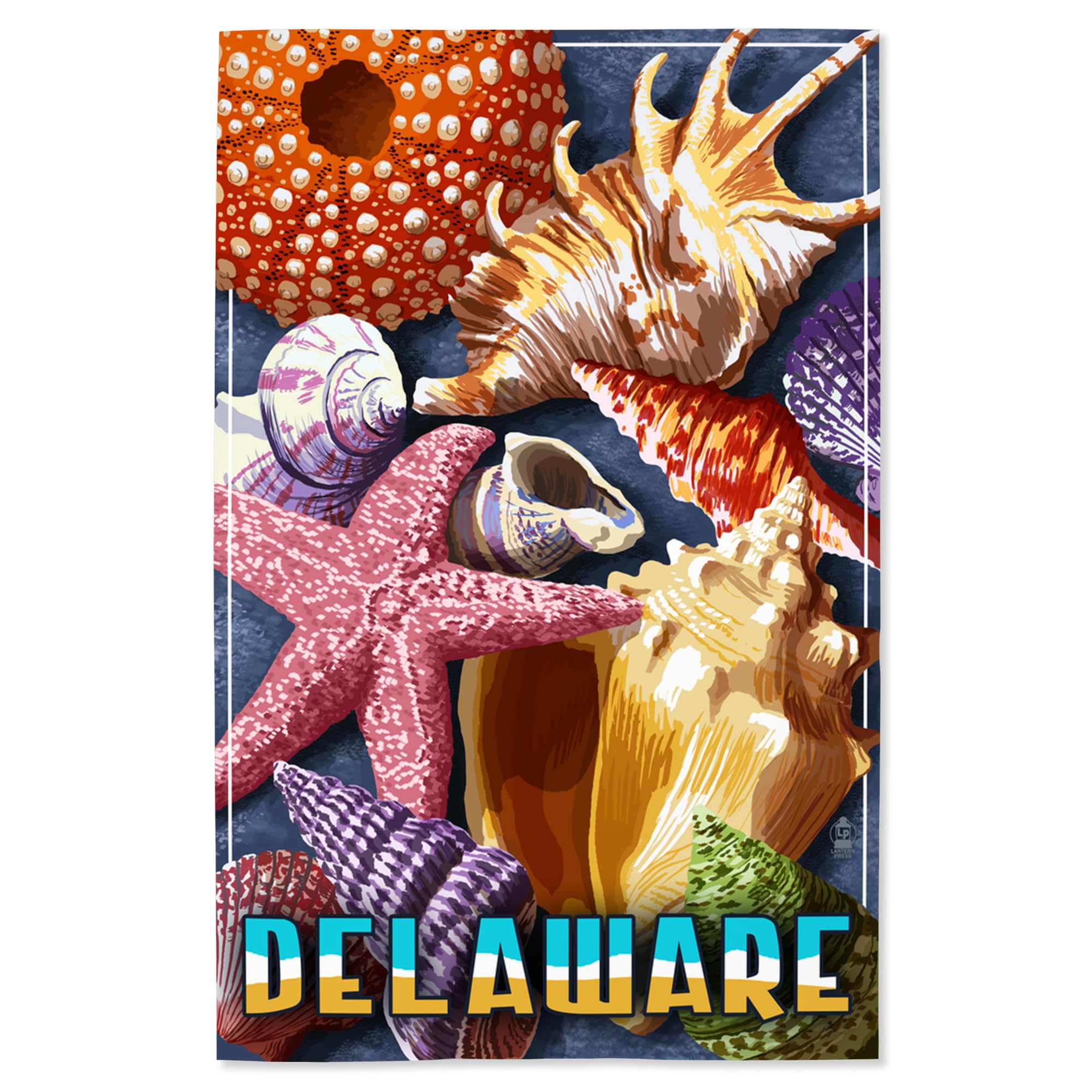 Lantern Press 16x24 Inch Giclee Print - Delaware Shell Montage Wall Art | Coastal Decor for Living Room, Beach House & Office