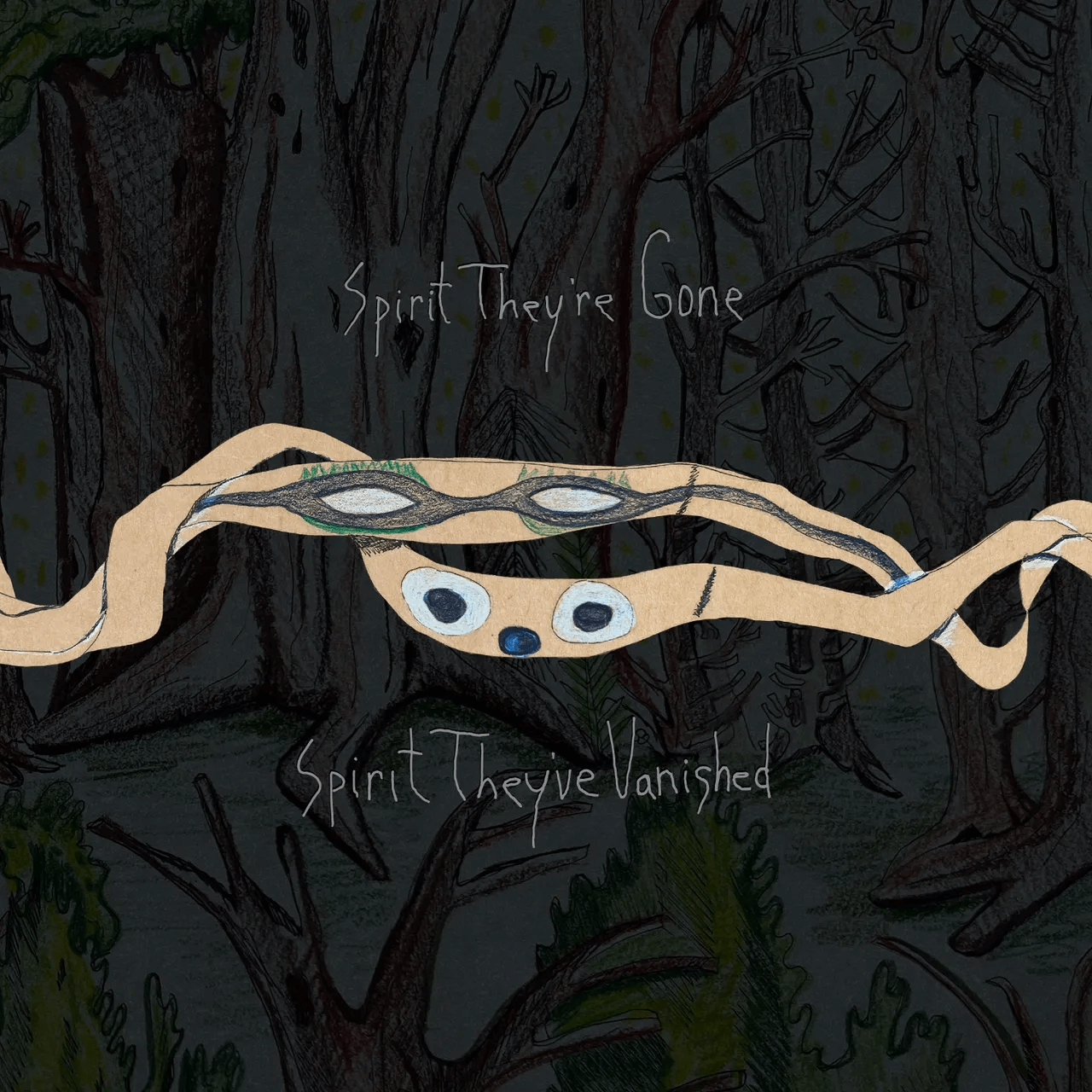 Animal Collective – Spirit They're Gone Spirit They've Vanished Vinyl LP | Indie Experimental Psychedelic Folk Album | Perfect for Music Collectors & Home Listening