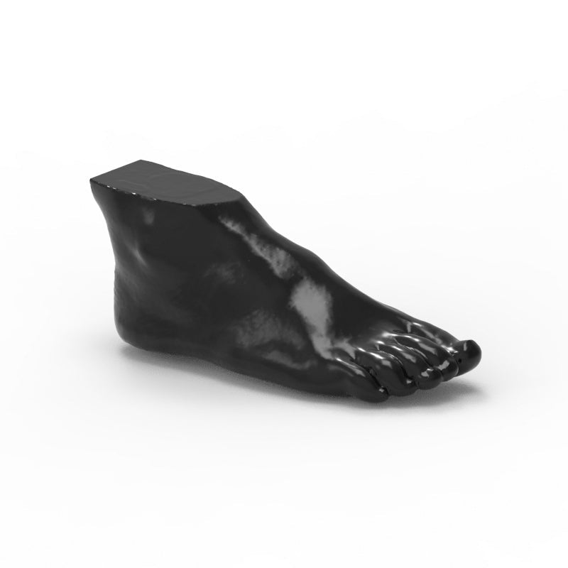 Foot Phantom Metatarsal Fractures Model - Realistic CT Scan & X-Ray Training Tool for Medical Students & Radiologists - Perfect for Anatomy Study & Diagnostic Practice