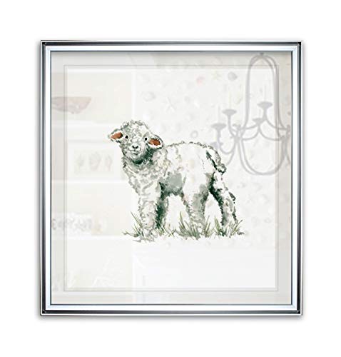 Baby Lamb