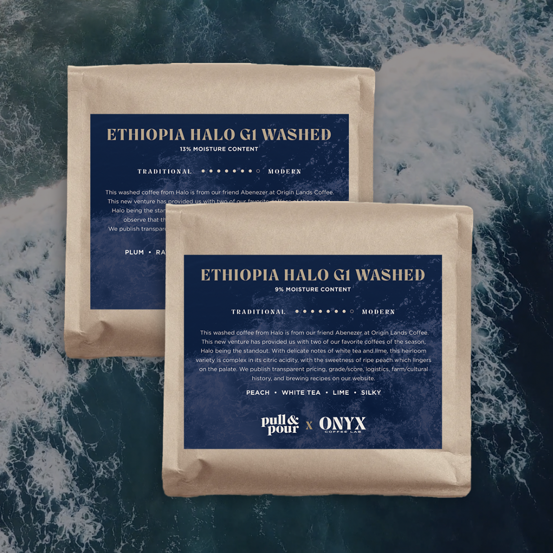 Anhydrobiosis Survival Kit - Extreme Dehydration Protection for Emergency Preparedness & Outdoor Adventures | Perfect for Camping, Hiking, and Survival Situations