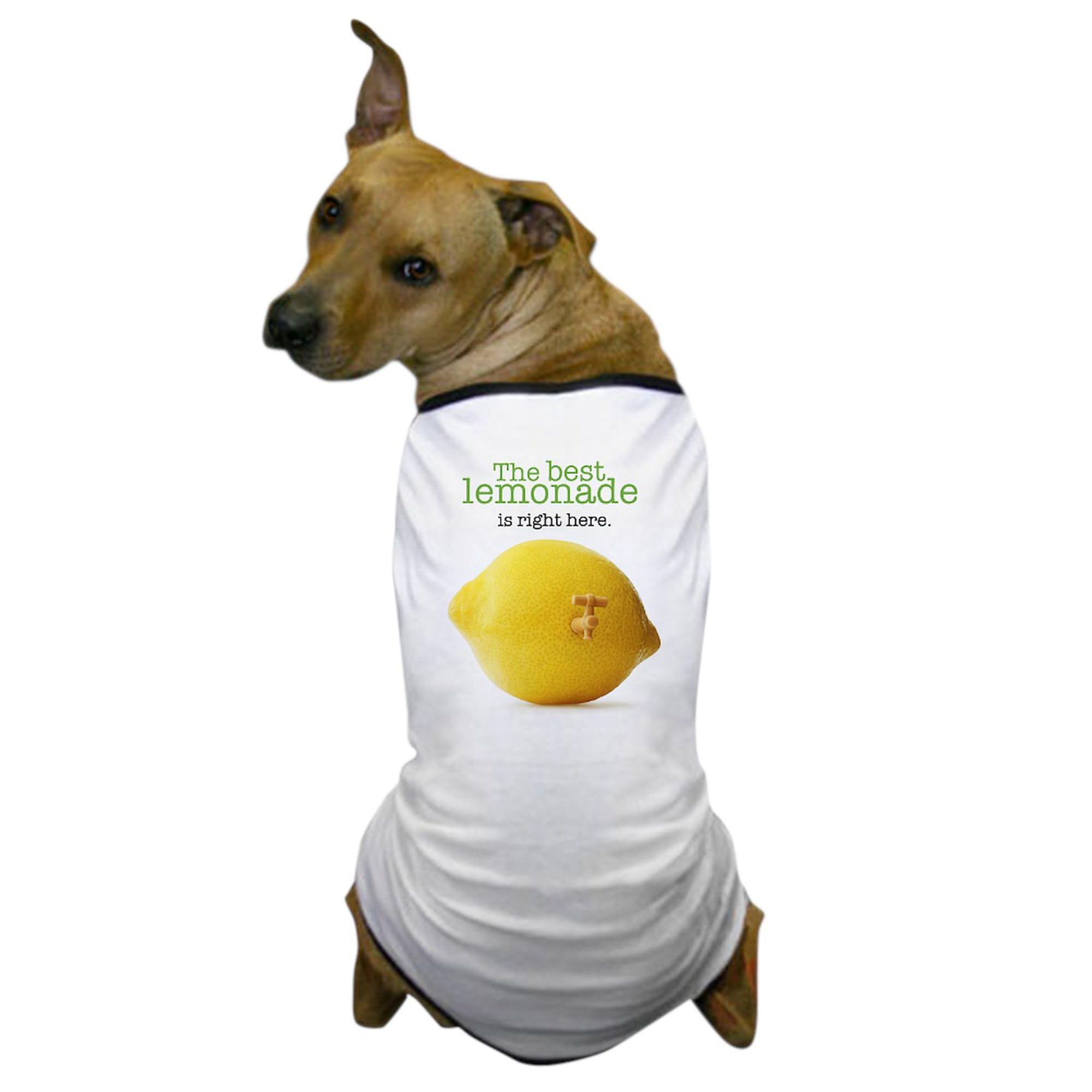 Funny Lemonade Dog T-Shirt - Cute Pet Clothing & Costume for Dogs - Perfect for Summer Parties, Pet Parades & Photo Shoots