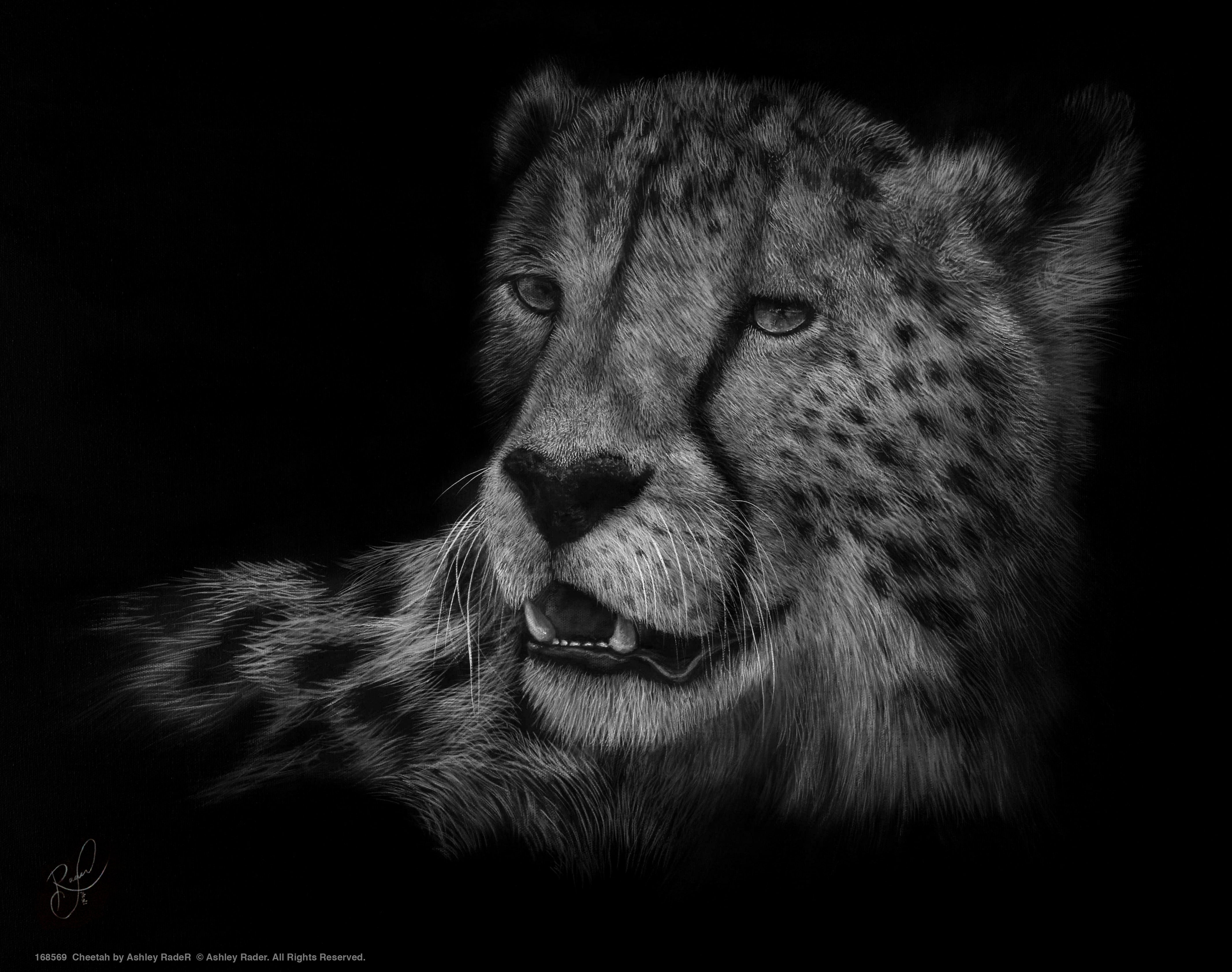 Cheetah Art Prints - Stunning Wildlife Wall Decor for Home & Office | Perfect for Living Room, Bedroom & Gifts