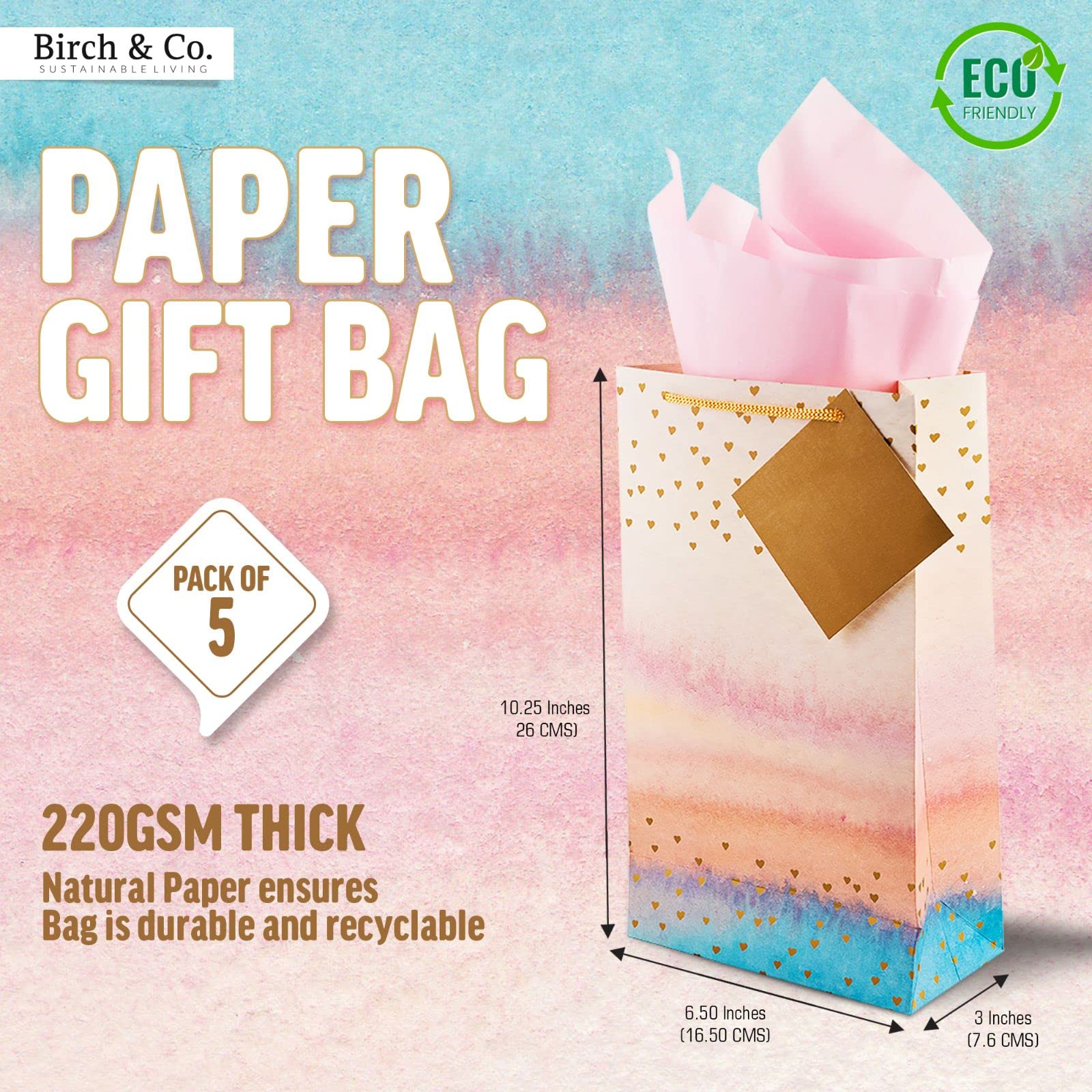 Birch & Co. Premium Multicolor Gift Paper Bags - Small Carry Bags with Tissue & Thank You Card - Pack of 5 - Perfect for Party Favors, Wedding Gifts & Retail Packaging