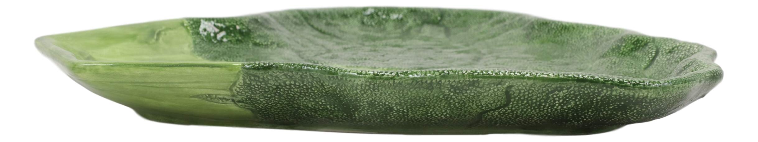 Ebros Gourmet 6-Piece Ceramic Broccoli Steak Serving Plates Set – Perfect for Fruits, Salads, Desserts, Appetizers, Lunch & Dinner Entrees | Ideal for Restaurants, Dinner Parties & Holiday Gatherings