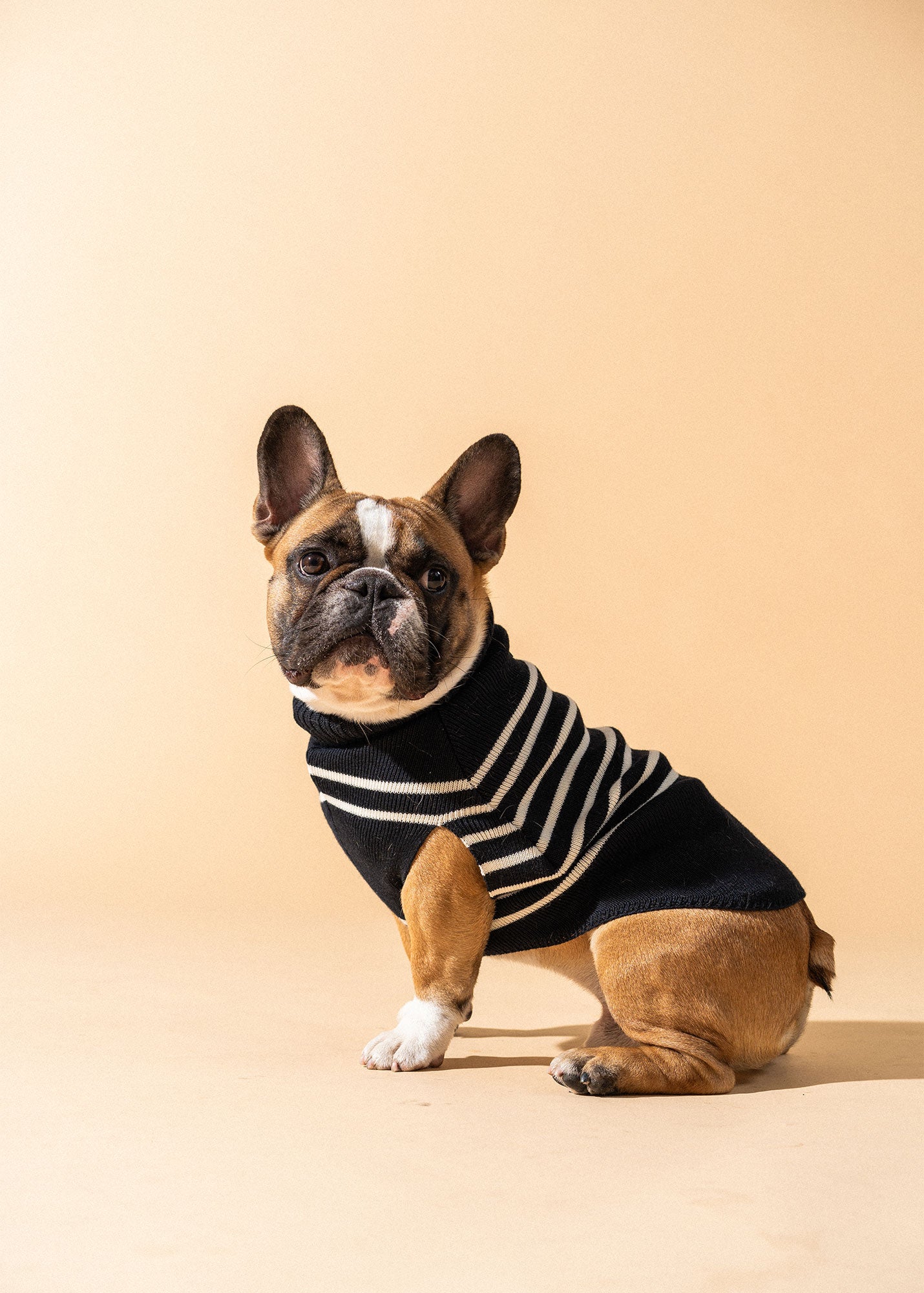 Authentic Breton Striped Dog Sweater - Parisian Pup Wool Blend Sweater for Small & Medium Dogs (Navy/Ivory) - Cozy Winter Outfit for Walks & Photo Shoots