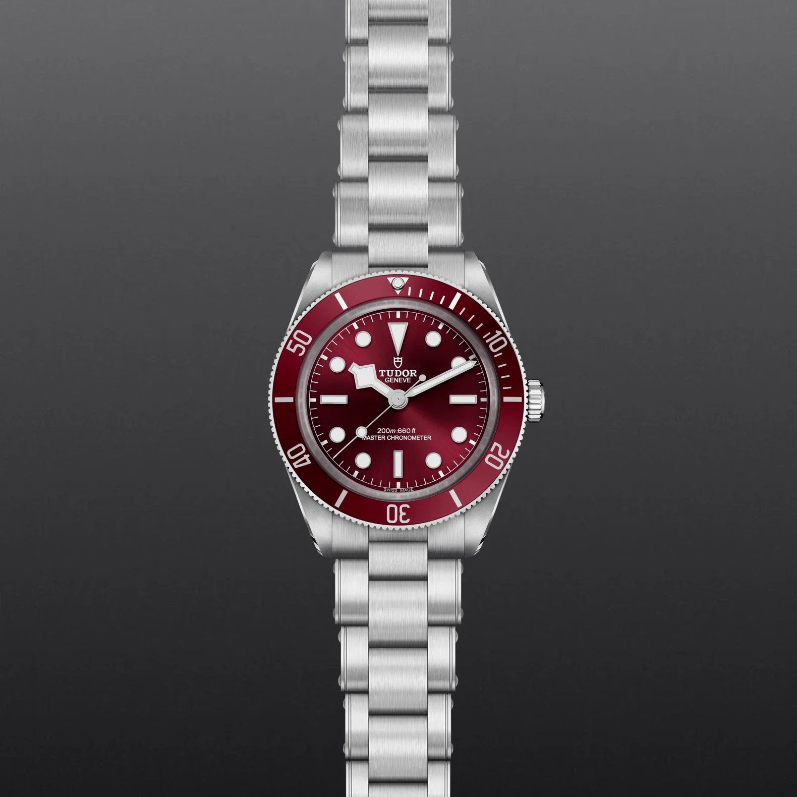 Black Bay 58 M7939A1A0RU 0002 Automatic Diver Watch - Luxury Stainless Steel Men's Watch for Diving, Swimming & Everyday Wear