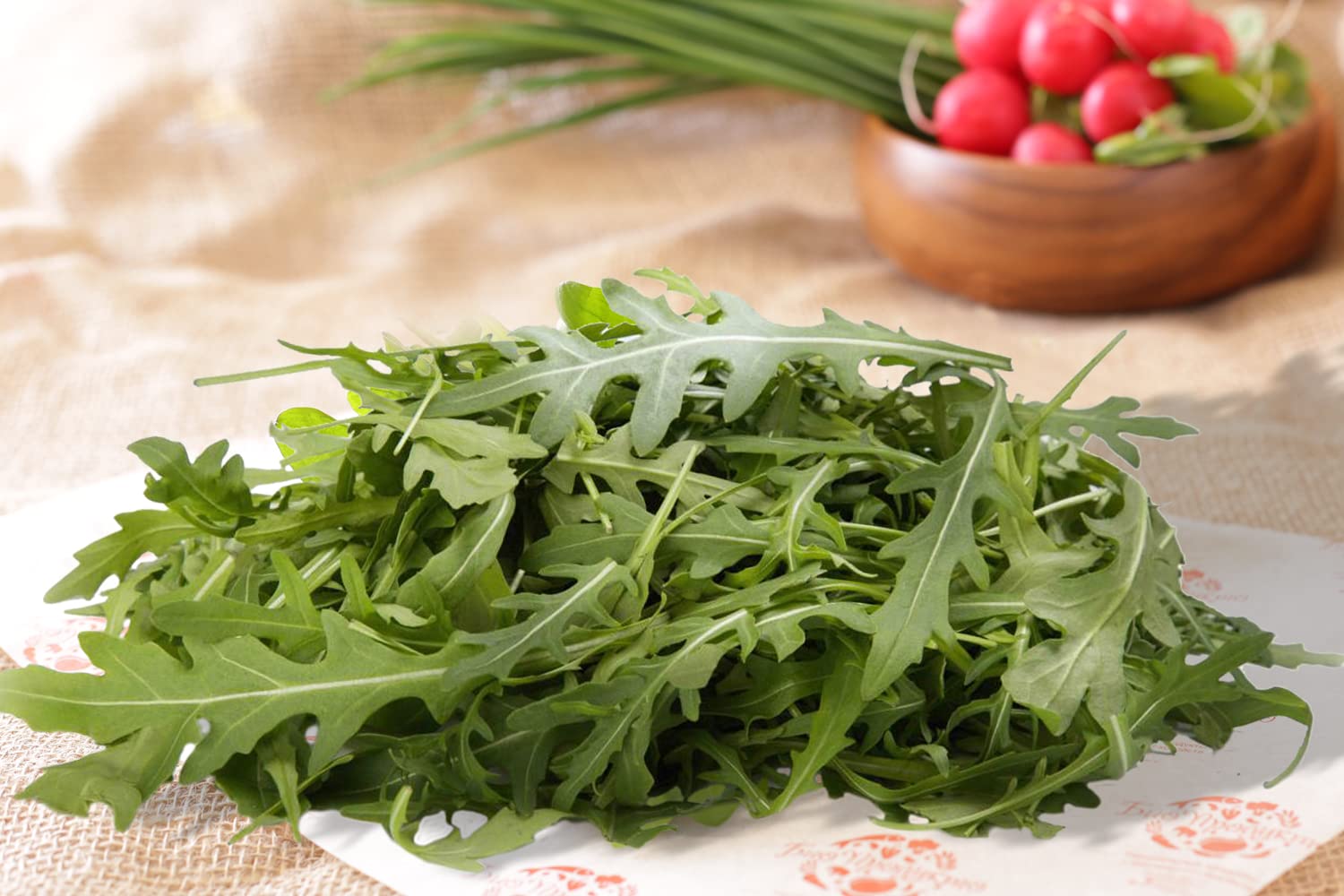 Organic Arugula Seeds - Non-GMO, Fast-Growing (20 Days) - Duckweed & Broadleaf Salad Greens for Planting - Perfect for Home Gardens, Microgreens & Healthy Salads