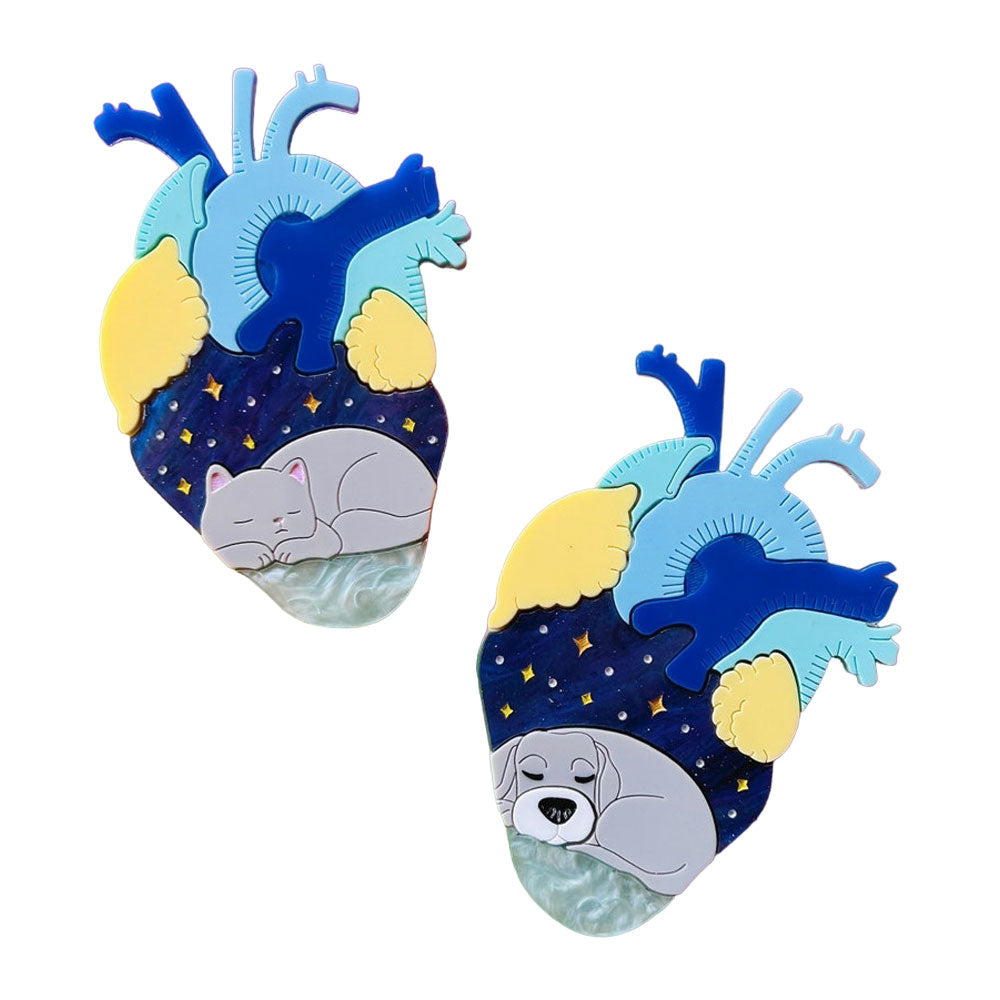 Anatomical Hearts Collection - You Live Here Cat & Dog Acrylic Brooch Pin by Makokot Design - Perfect for Pet Lovers, Fashion Accessories & Gift Giving