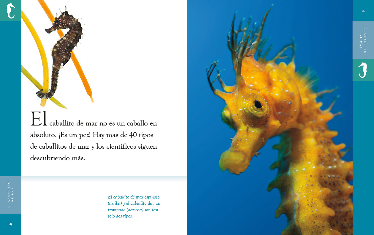 Seahorse Figurine - Handcrafted Home Decor, Ocean Themed Gift for Beach House, Aquarium & Office Desk