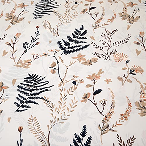 Ferns