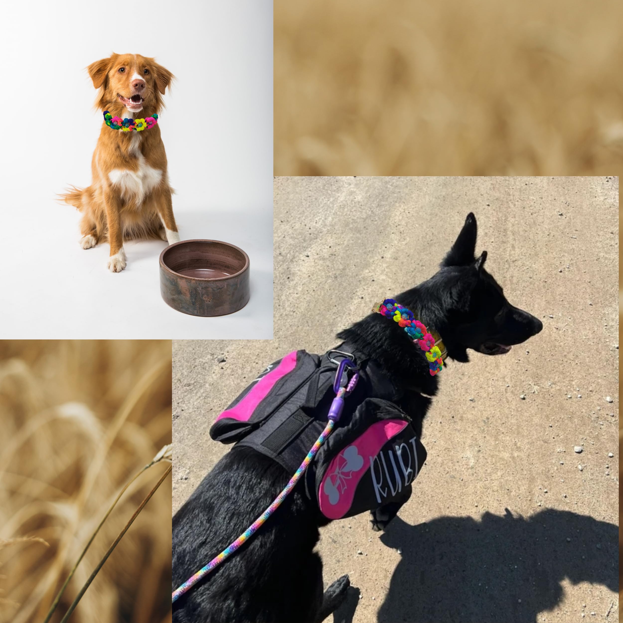 Handwoven Paracord Flower Dog Collar with Quick Release Buckle - Durable & Comfortable Pet Collar for Small, Medium, Large & Extra Large Dogs (S-neck 9-10
