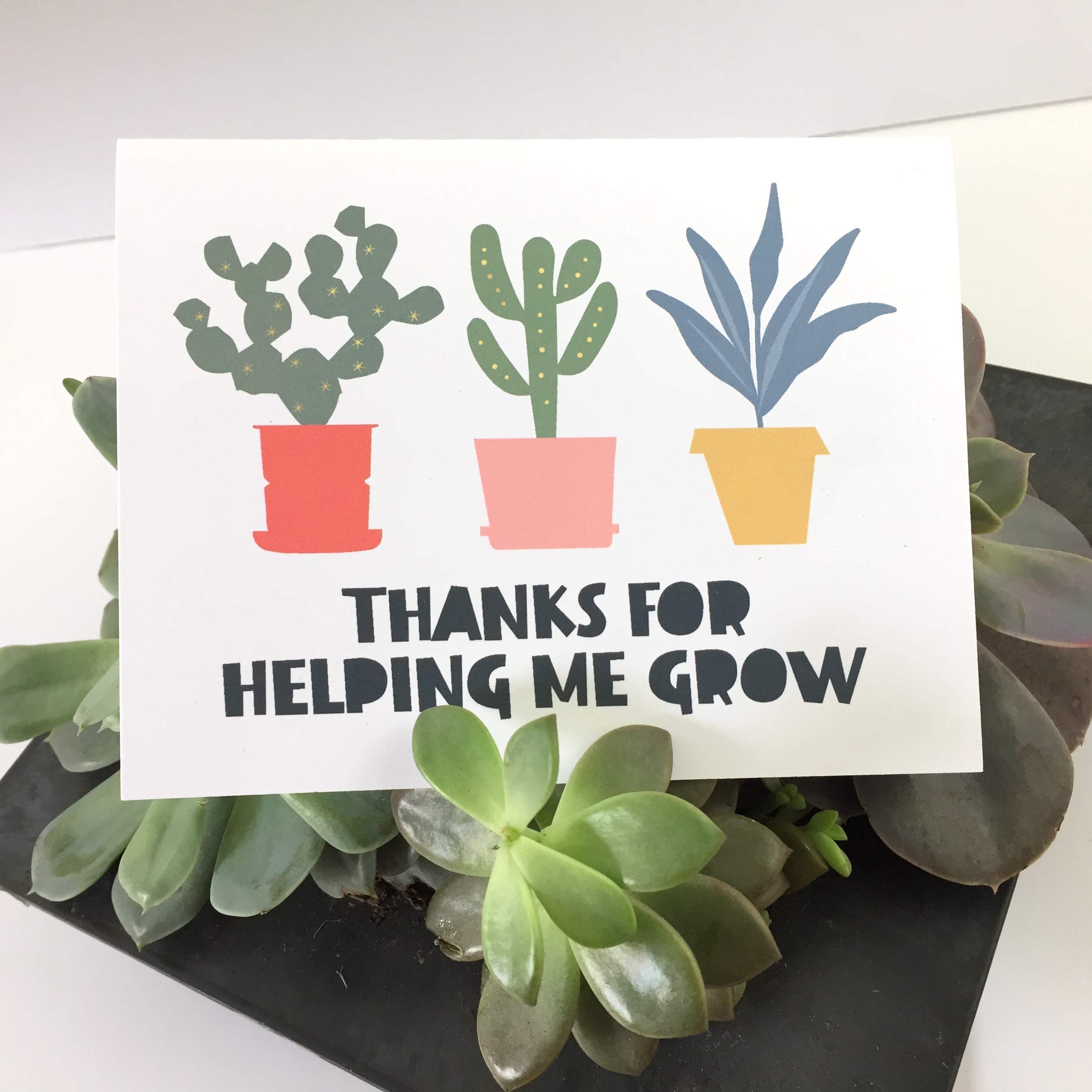 Thank You Cards for Teachers - Set of 4 Appreciation Greeting Cards with Envelopes - Perfect for Teacher Gifts, End of Year, Graduation & Special Occasions