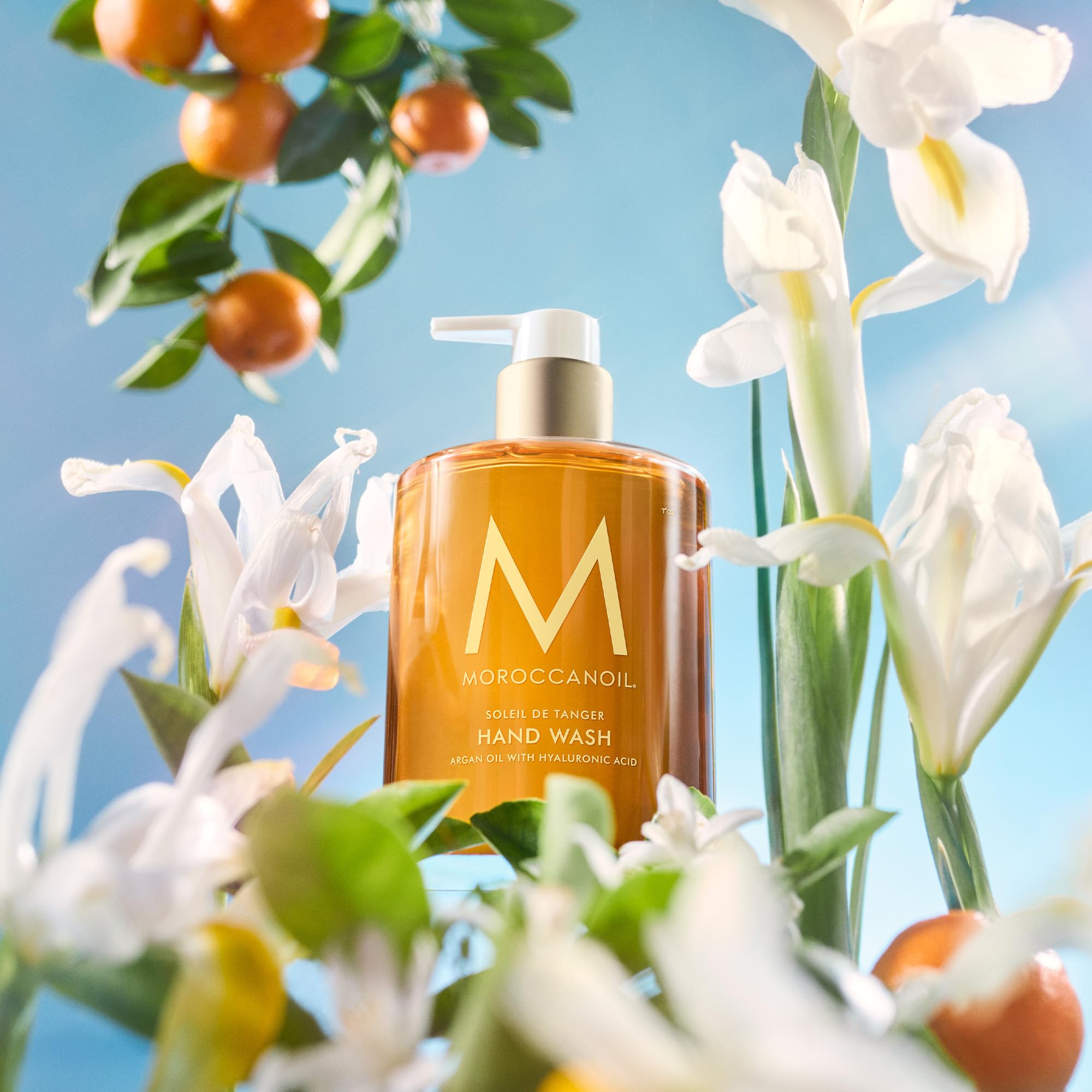 Moroccanoil Hand Wash - Hydrating & Nourishing Liquid Soap with Argan Oil for Soft, Smooth Skin | Perfect for Bathroom, Kitchen & Travel