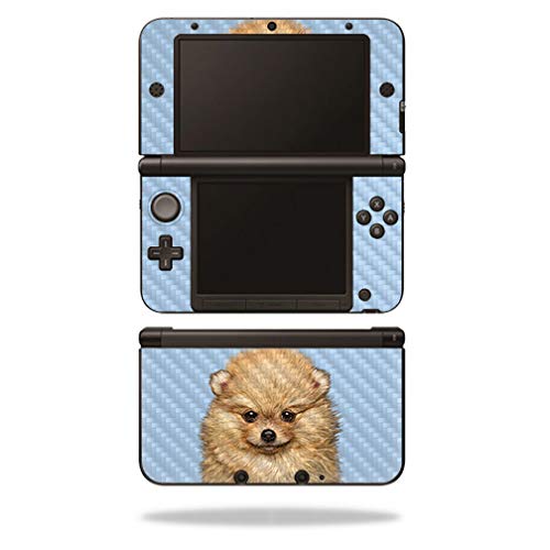 Pomeranian Portrait