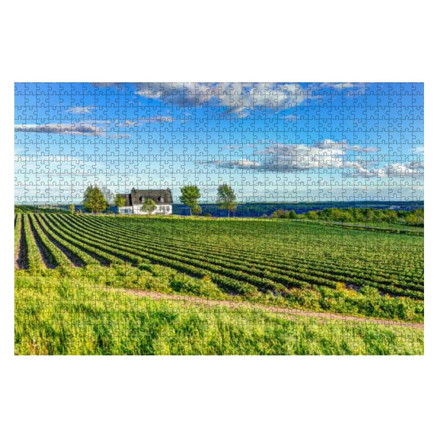1000-Piece Wooden Jigsaw Puzzle - Scenic Farm Landscape of Île d'Orléans, Quebec, Canada | Educational Puzzle Game for Adults & Kids | Stress Relief & Family Bonding Activity | Perfect for Home Decor & Gift Giving
