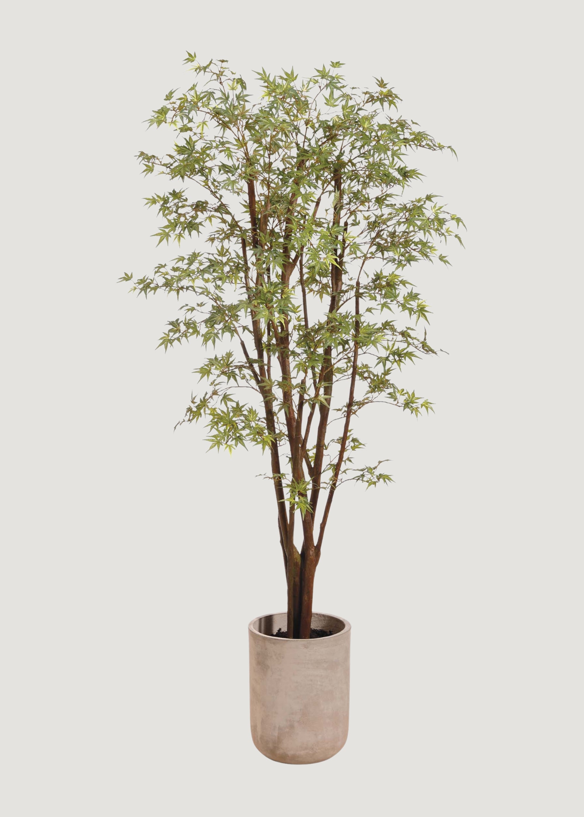 6.5' Artificial Japanese Maple Tree in Cement Pot - Realistic Faux Potted Plant for Home Decor, Office, Living Room, and Outdoor Spaces