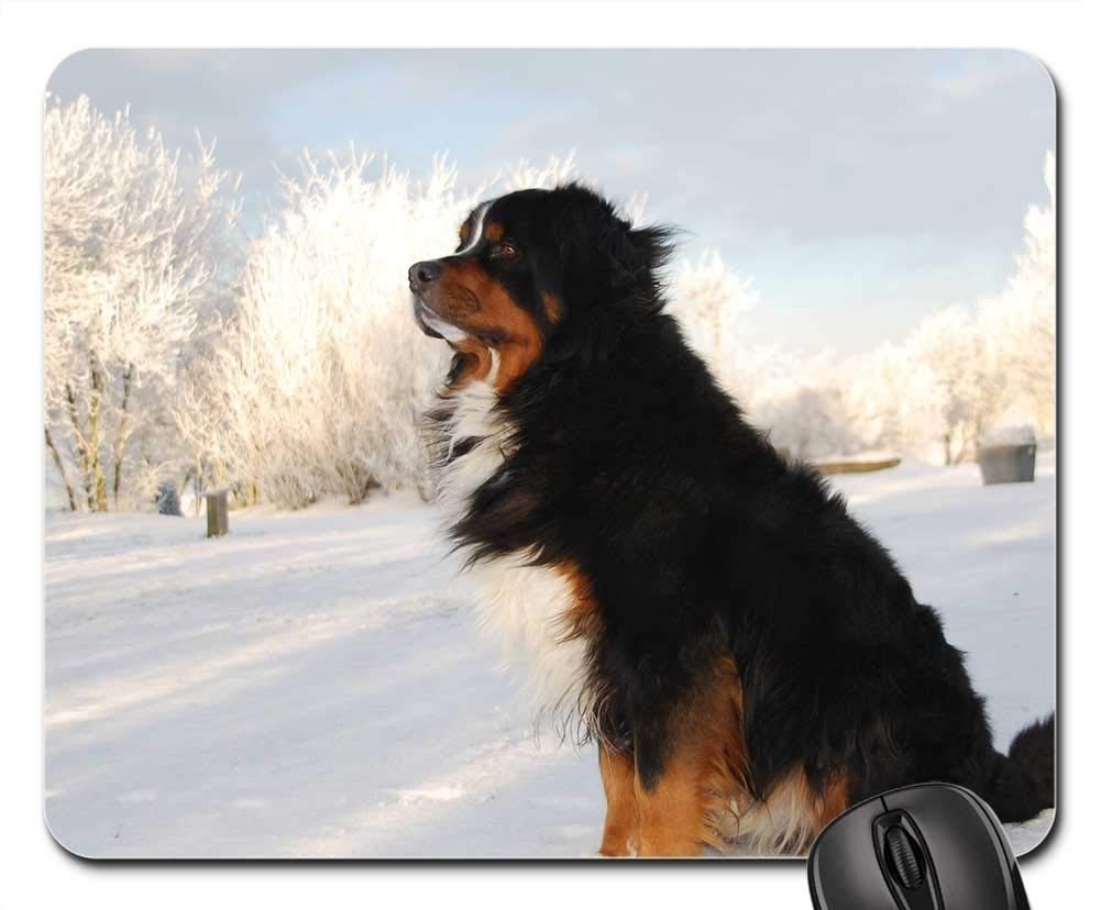 Premium Gaming Mouse Pad with Winter Snow White Bernese Mountain Dog Design - Non-Slip Rubber Base, Smooth Surface for PC & Laptop - Perfect for Gamers, Office Work & Home Use