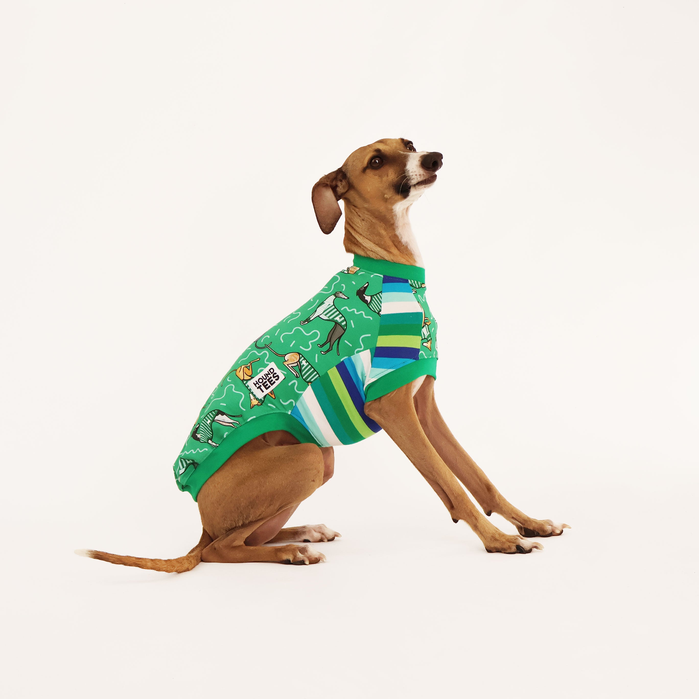 Italian Greyhound Sleeveless Dog T-Shirt - Soft Breathable Pet Tee for Small Dogs - Perfect for Walks, Playtime & Photo Shoots