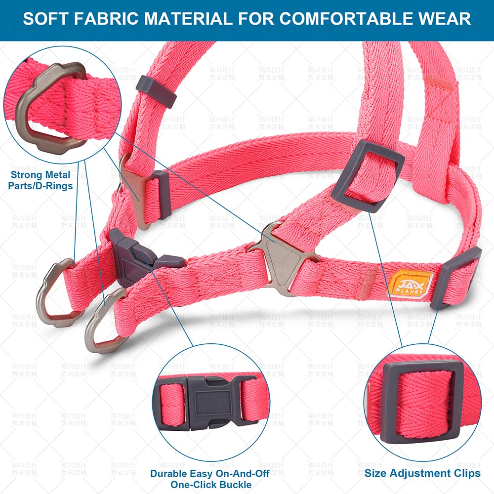 Premium Dog Harness and Leash Set for Small, Medium & Large Dogs - Adjustable No-Pull Pet Harness with D-Ring - Comfortable Training Walking Gear for Puppies & Adult Dogs - Perfect for Outdoor Adventures, Hiking & Daily Walks