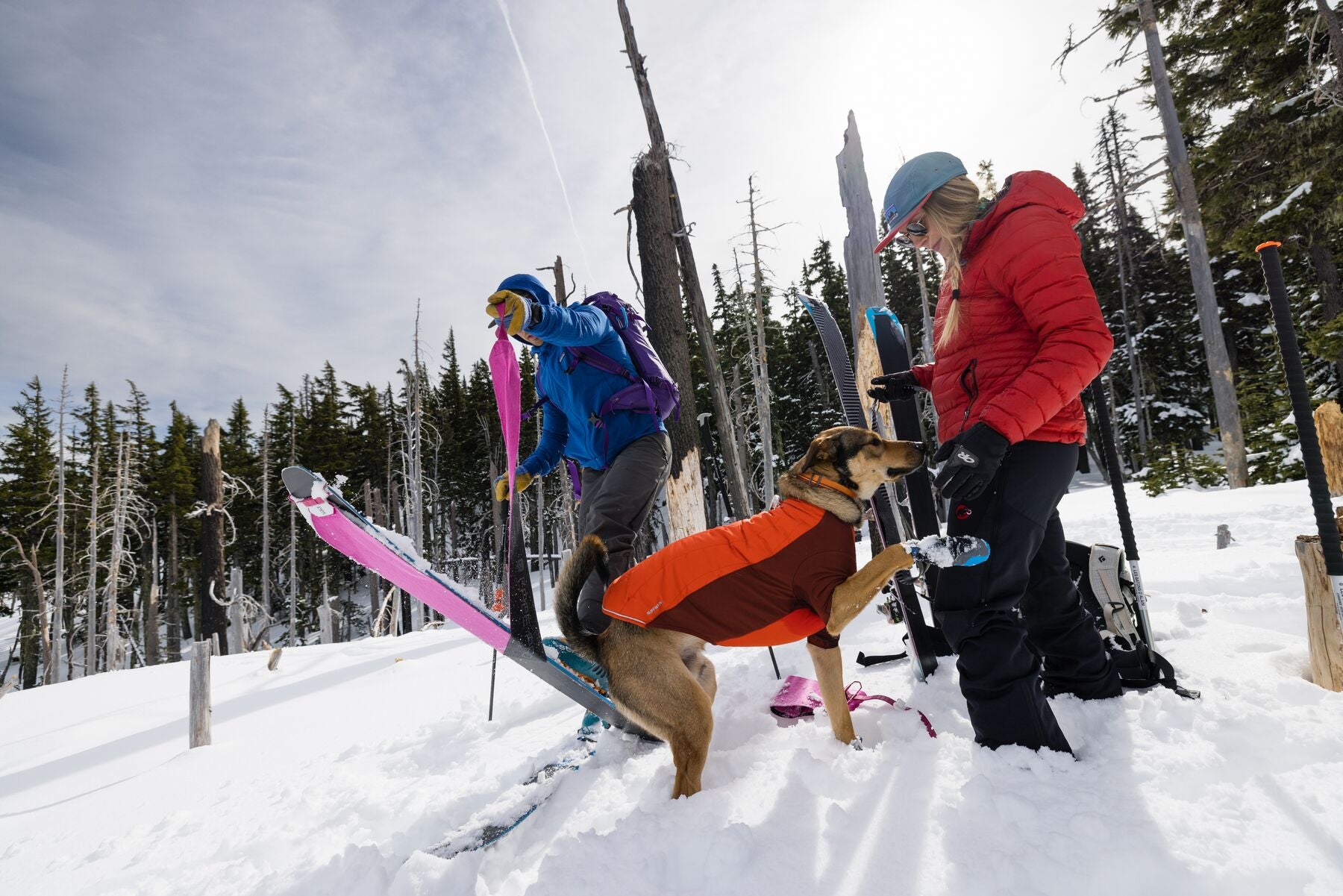 Ruffwear Powder Hound Hybrid Dog Jacket - Waterproof & Insulated Winter Coat for Active Dogs (Persimmon Orange) - Perfect for Hiking, Snow Play & Outdoor Adventures