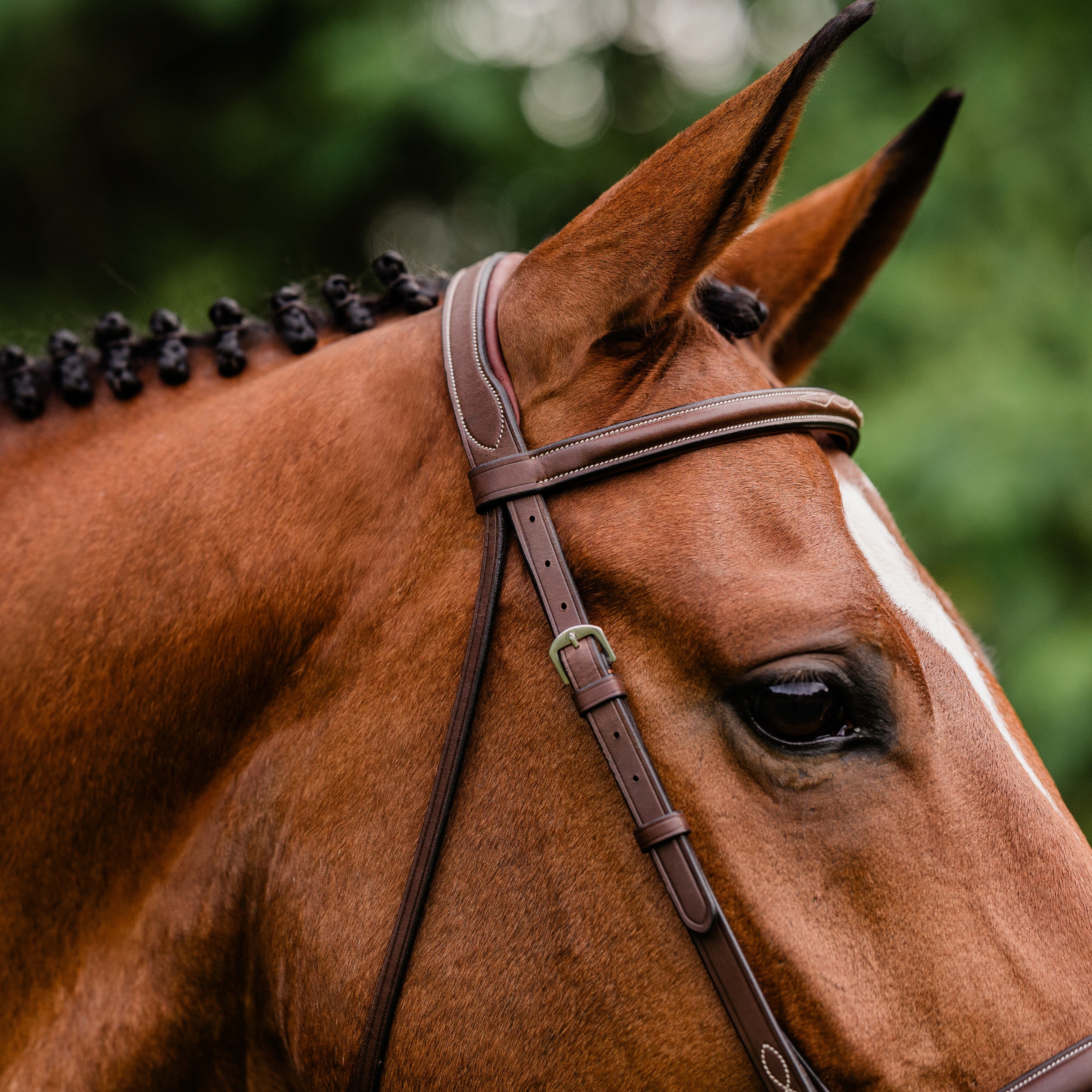 ADT Stealth Tribute Fancy Stitch Show Bridle - Premium Equestrian Leather Bridle for Horse Riding & Dressage Competitions - Perfect for Show Jumping, Training & Professional Riders