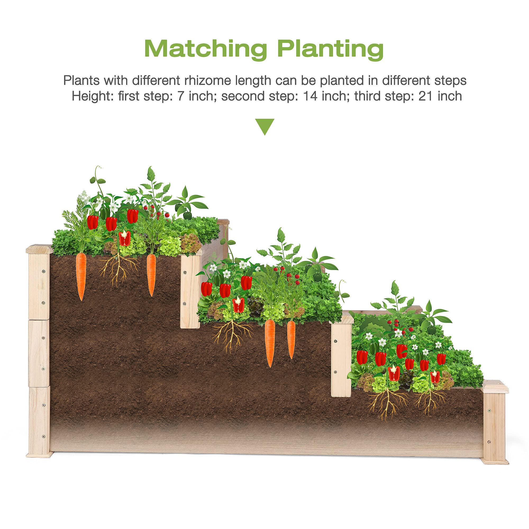 3 Tier Raised Garden Bed Kit - Elevated Outdoor Wood Planter Box for Vegetables, Flowers & Herbs | Perfect for Patio, Backyard & Small Space Gardening