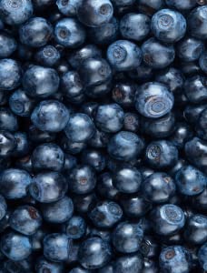 Blueberry