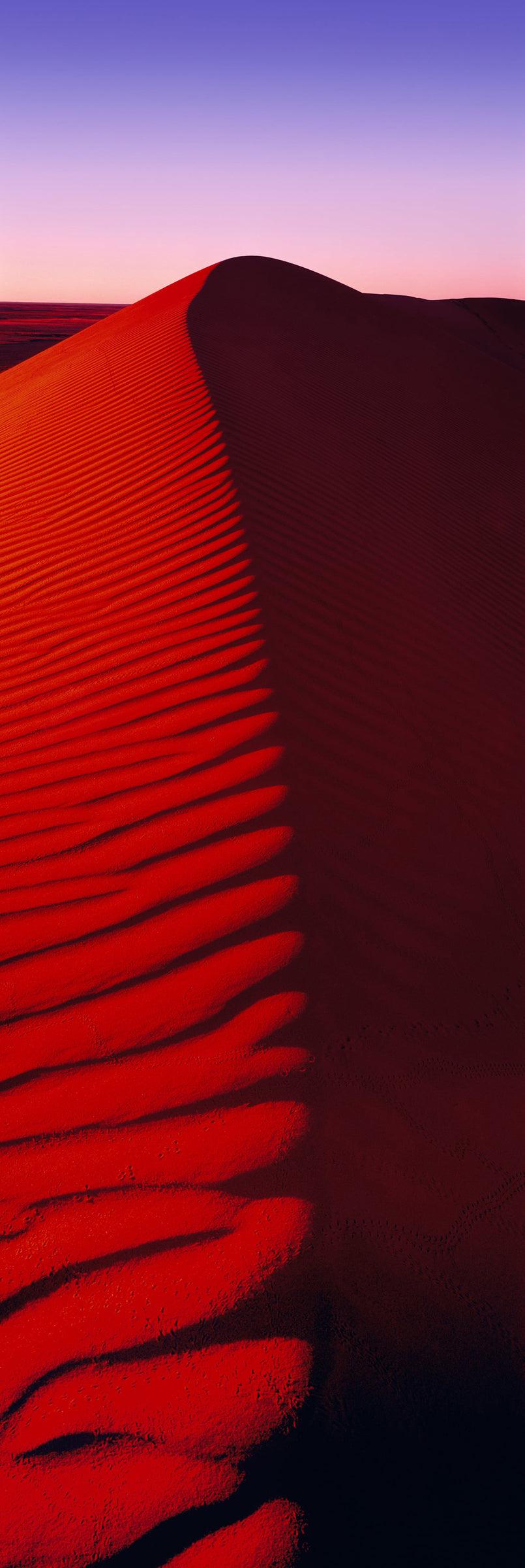 Dune Stairway - Lightweight & Durable Sand Dune Climbing Stairs for Beach, Desert, and Outdoor Adventures