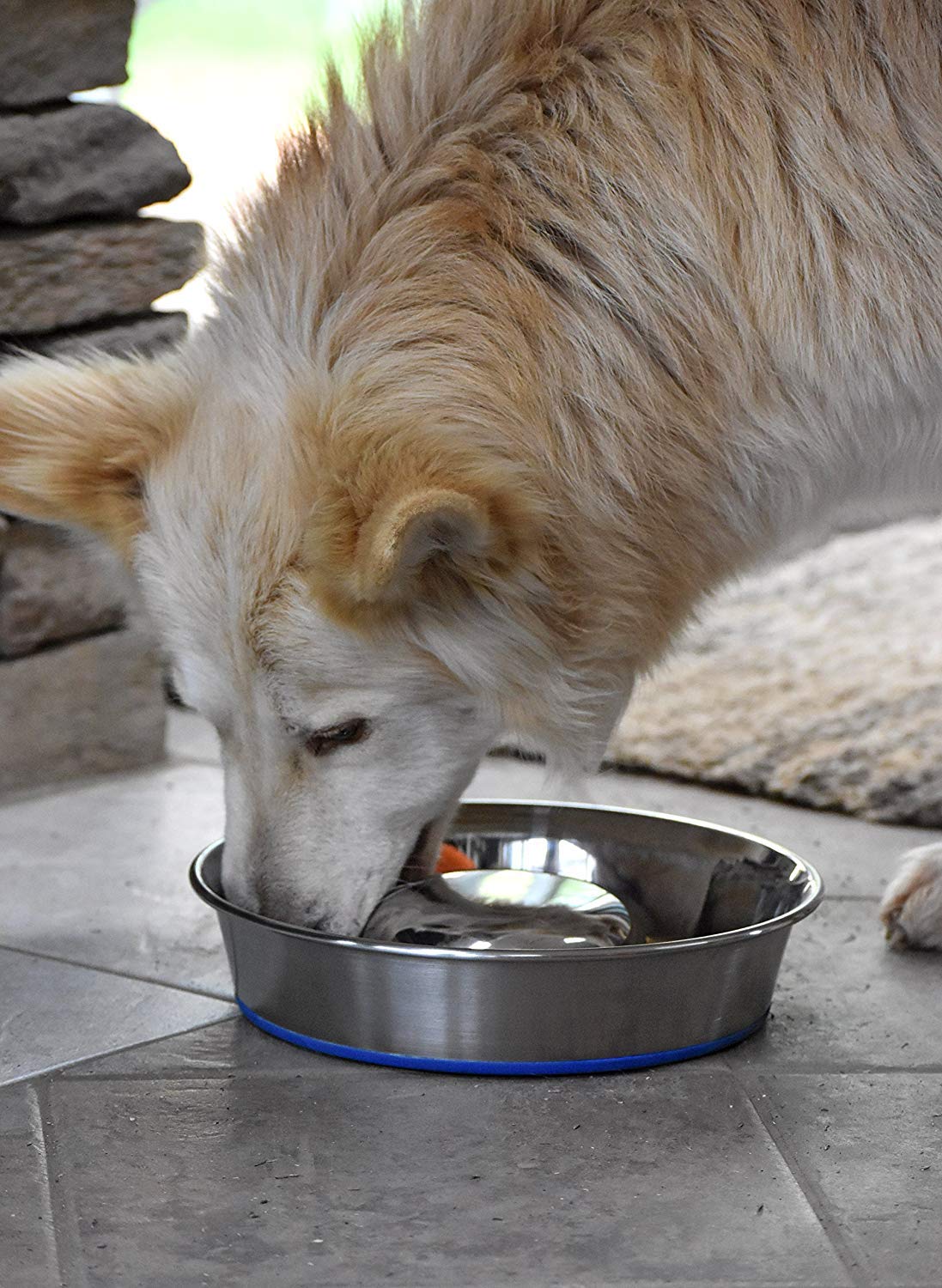 Premium Stainless Steel Slow Feed Dog Bowl for Large Dogs - Durable & Non-Slip Pet Food Bowl - Perfect for Fast Eaters, Mealtime Enrichment, and Portion Control - Silver (2040010302)