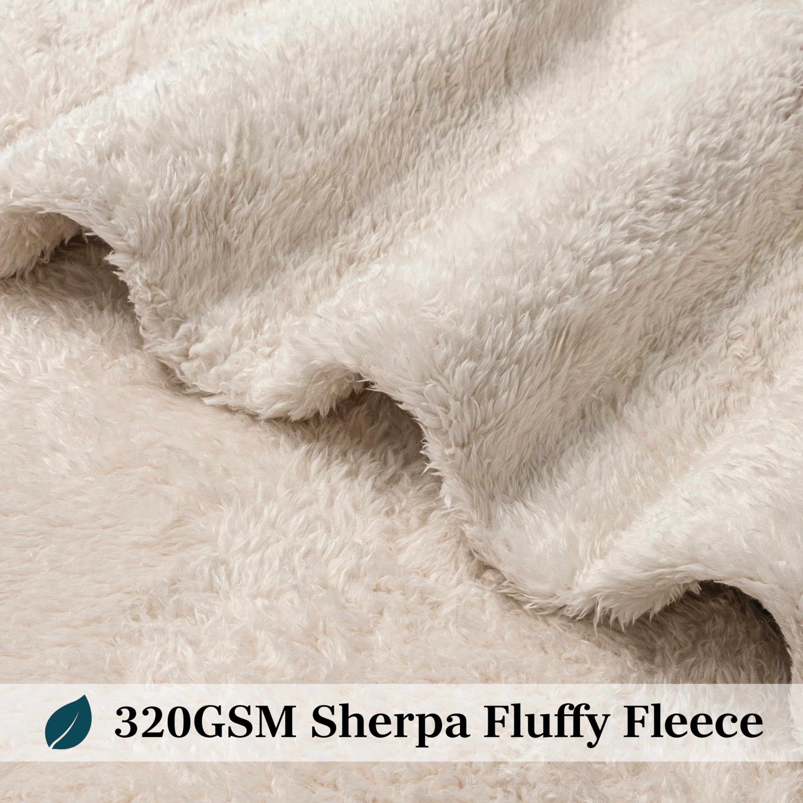 PAVILIA Sherpa Queen Size Bed Blanket - Ultra Soft Plush Fleece Blanket in Cream Beige | 90x90 Inches Lightweight Microfiber All-Season Blanket for Couch, Bedroom & Travel | Cozy Warm Throw for Winter Nights & Home Decor