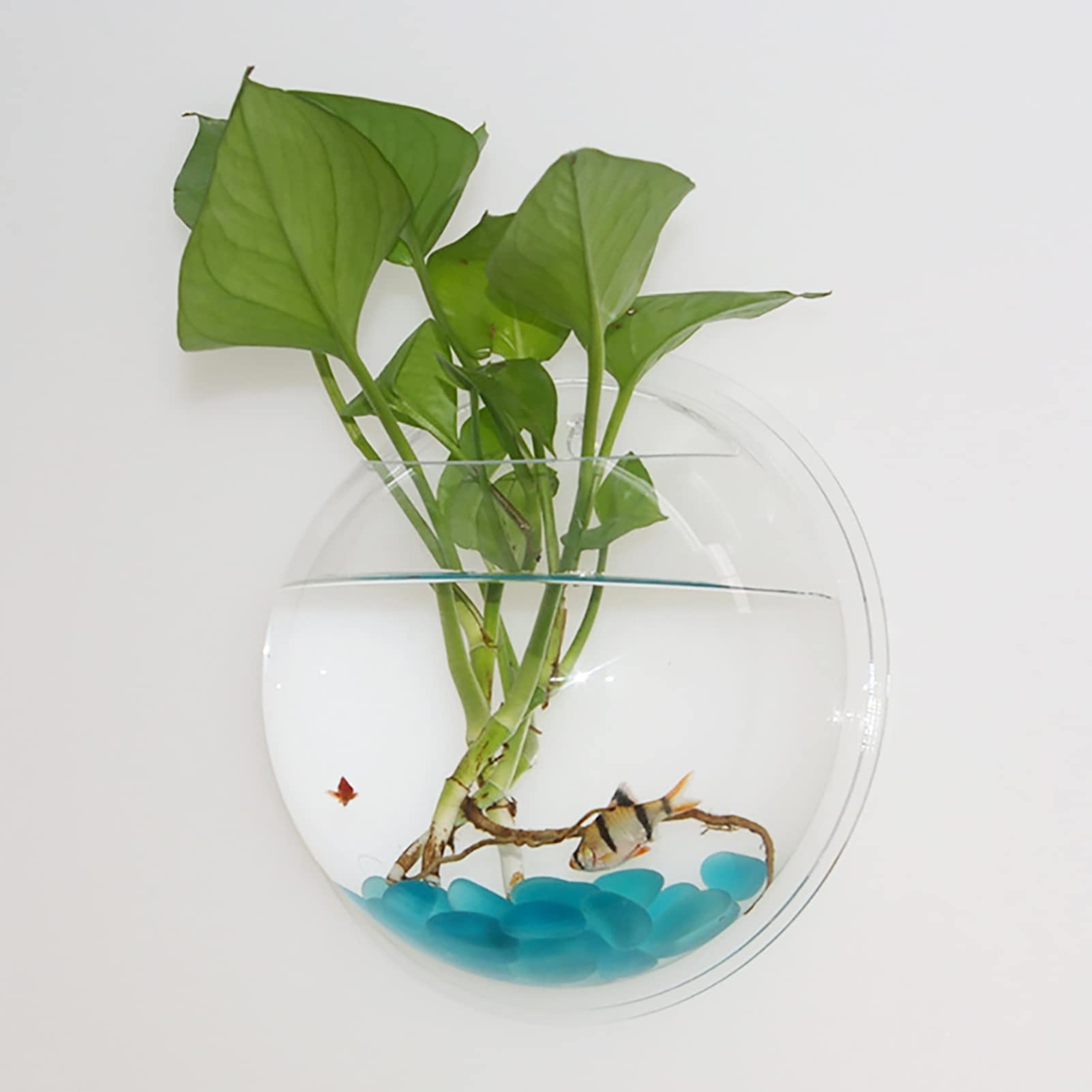 HOVTOIL Clear Acrylic Wall Mounted Fish Bowl - 19.5cm Betta Tank Aquarium with Bubble Design for Home & Office Decor - Perfect for Small Fish, Plants, and Flowers