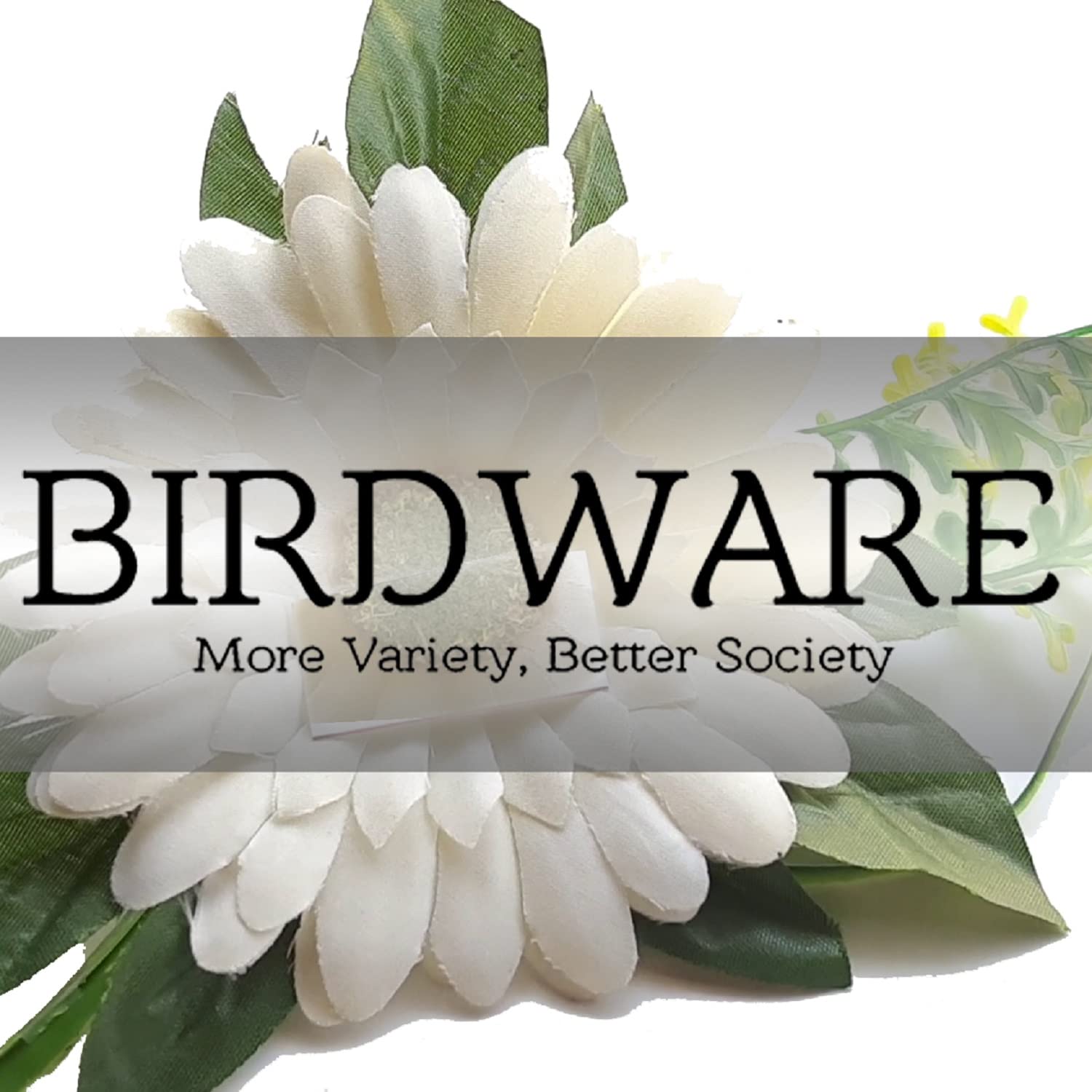 BIRDWARE Medium Hair Claw Clip - Stone Butterfly Hair Clips for Women & Girls (4-Pack, Black Shell Color, Acrylic) | Strong Hold Hair Accessories for Ponytail, Bun & Updo Hairstyles
