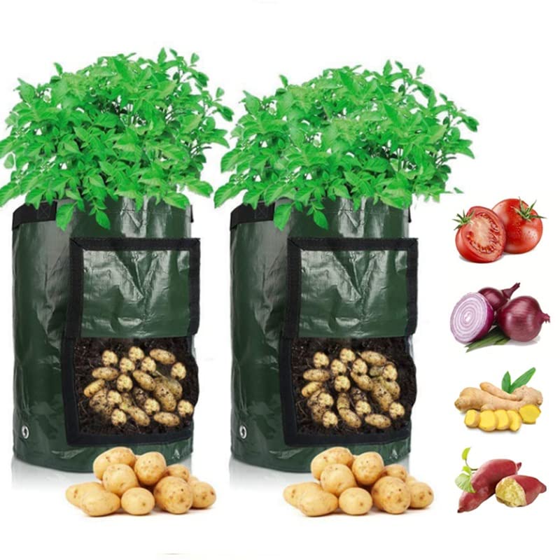 WALNUTA 2-Pack Thickened PE Potato Grow Bags with Handles - Durable Vegetable Planter for Carrots, Onions, Taro & Peanuts | Perfect for Home Gardening, Balcony Planting & Organic Farming