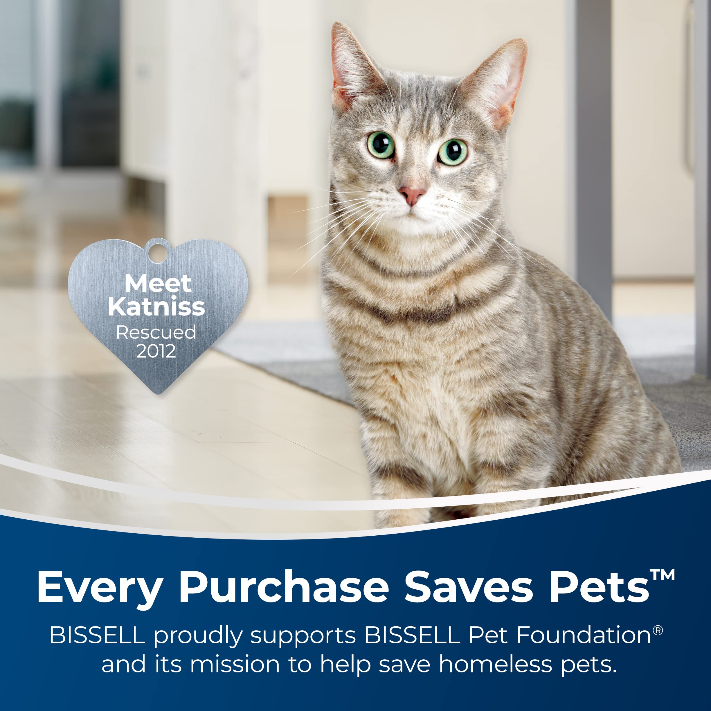 Bissell Simply Upright Carpet Cleaner Formula - 48 Fl Oz | Professional Carpet Cleaning Solution for Home & Office | Perfect for Deep Cleaning Carpets, Upholstery & Stairs