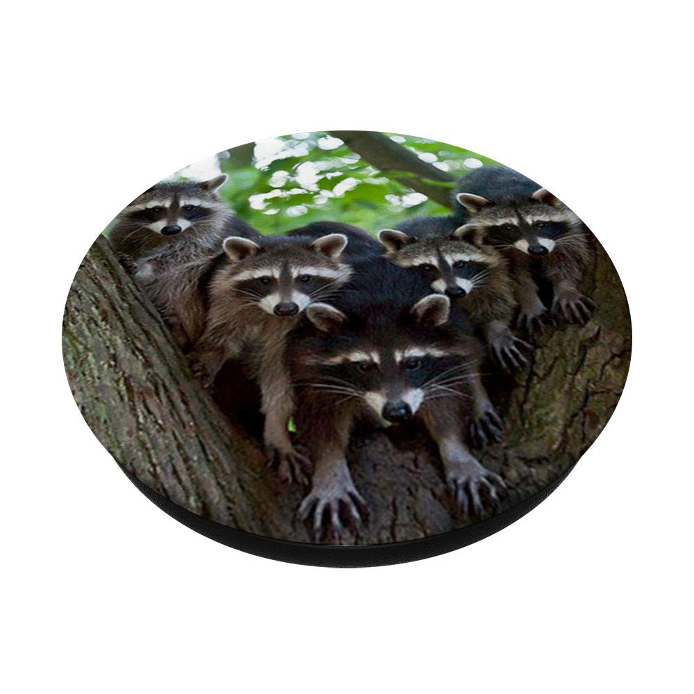Cute Raccoon Family Pet Forest Animal PopSockets PopGrip - Swappable Phone & Tablet Grip for iPhone, Samsung - Perfect for Outdoor Adventures, Hiking & Nature Lovers