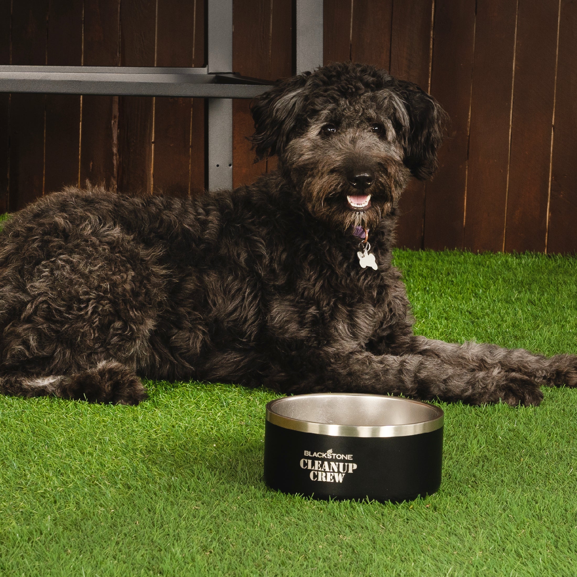 Best Insulated Dog Bowl for Hot & Cold Food - Double-Wall Stainless Steel Pet Bowl for Travel, Camping & Outdoor Use