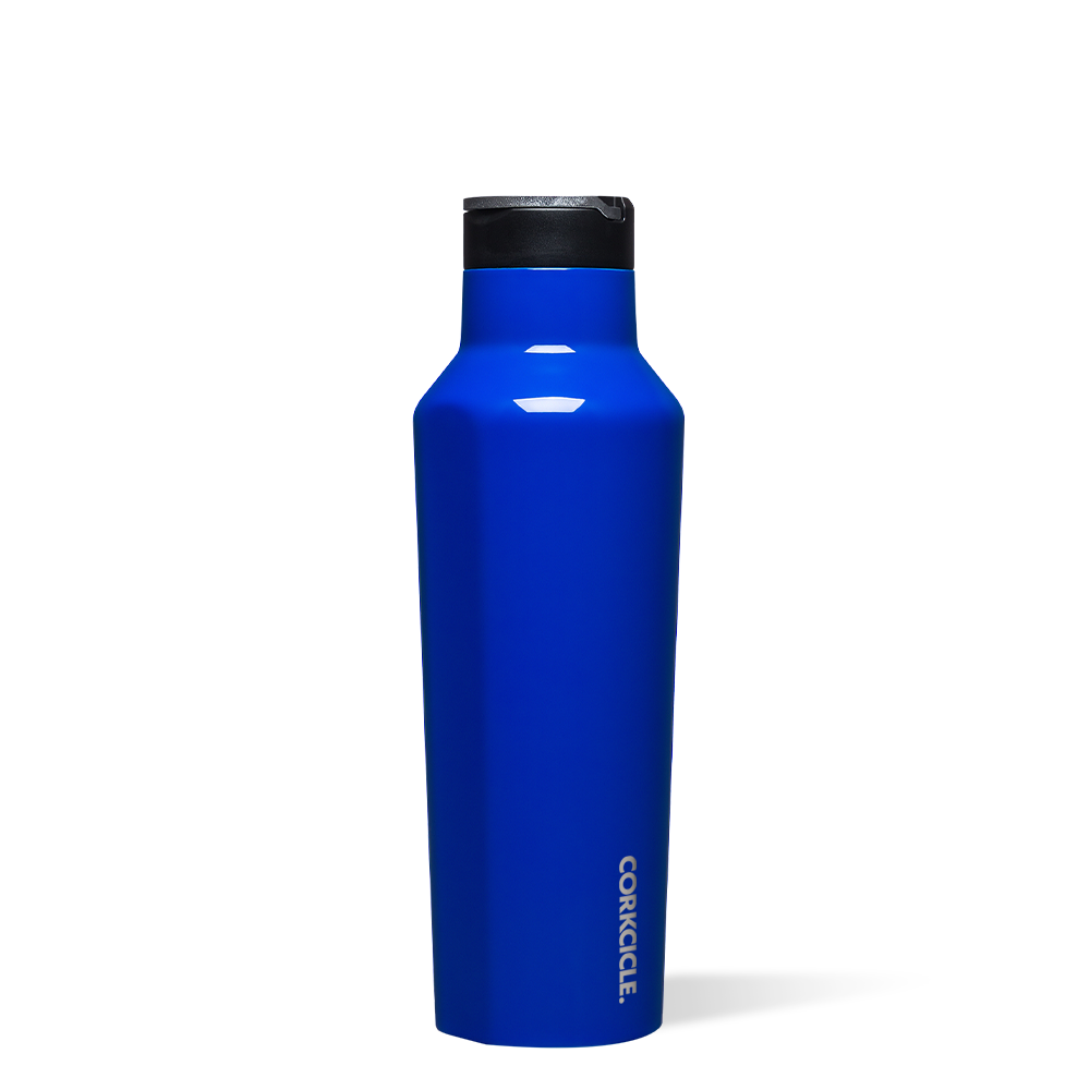 Classic Stainless Steel Sport Water Bottle - Leak Proof & Durable for Hiking, Camping, Gym & Outdoor Activities