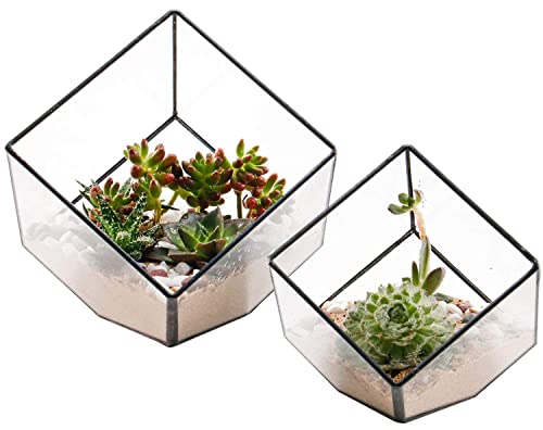 Black Cubic Set of 2