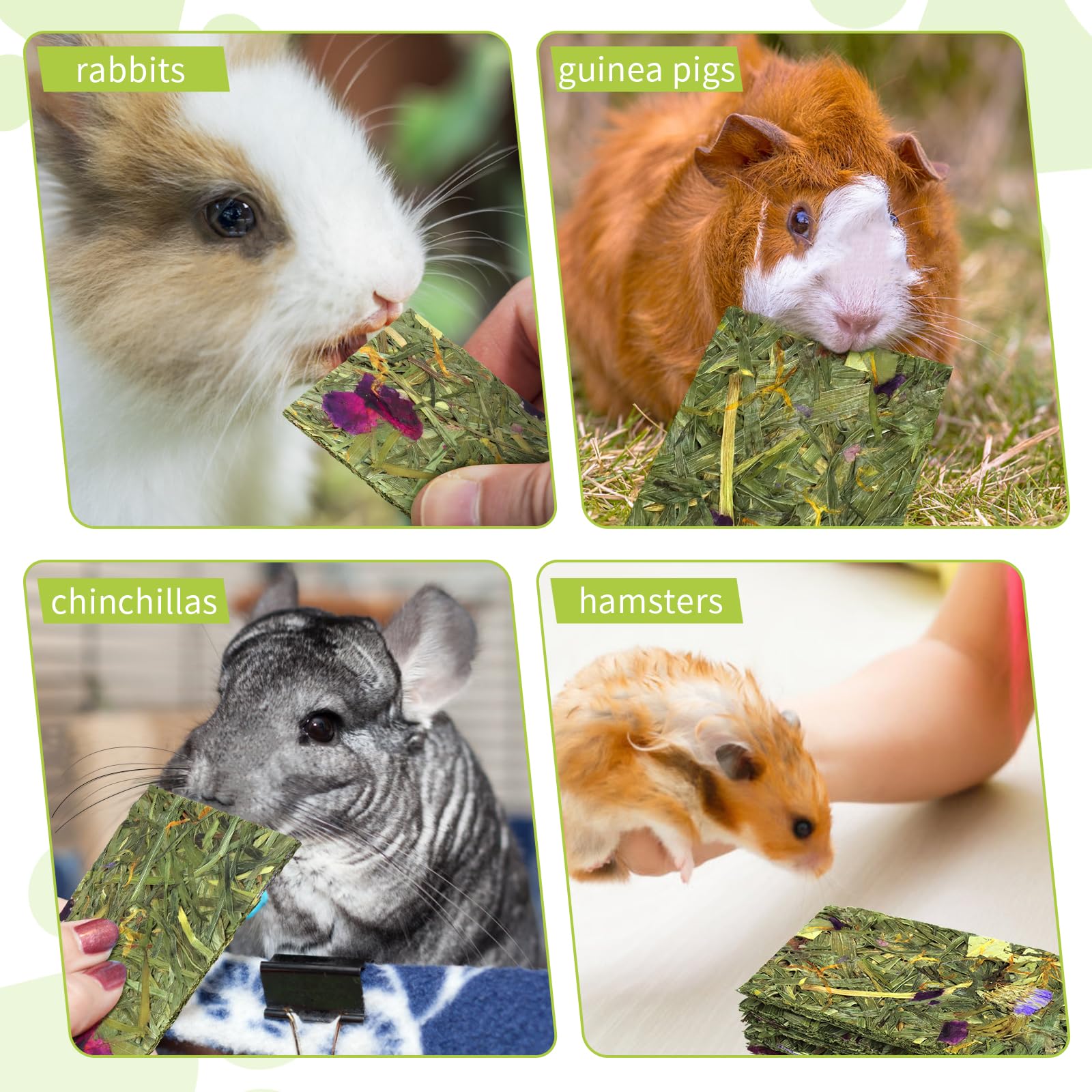 12 Pcs Timothy Grass Crispy Chips - Natural Rabbit Treats & Chew Toys for Small Animals - Healthy Snacks for Hamsters, Chinchillas, Gerbils & Rats - Promotes Dental Care - Perfect for Cage Enrichment & Playtime