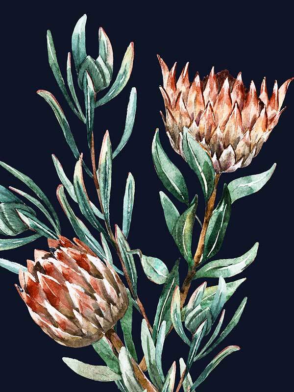 Dark Proteas II Unframed Art Print - Botanical Wall Decor for Living Room, Bedroom & Office - Perfect for Home & Office Decor