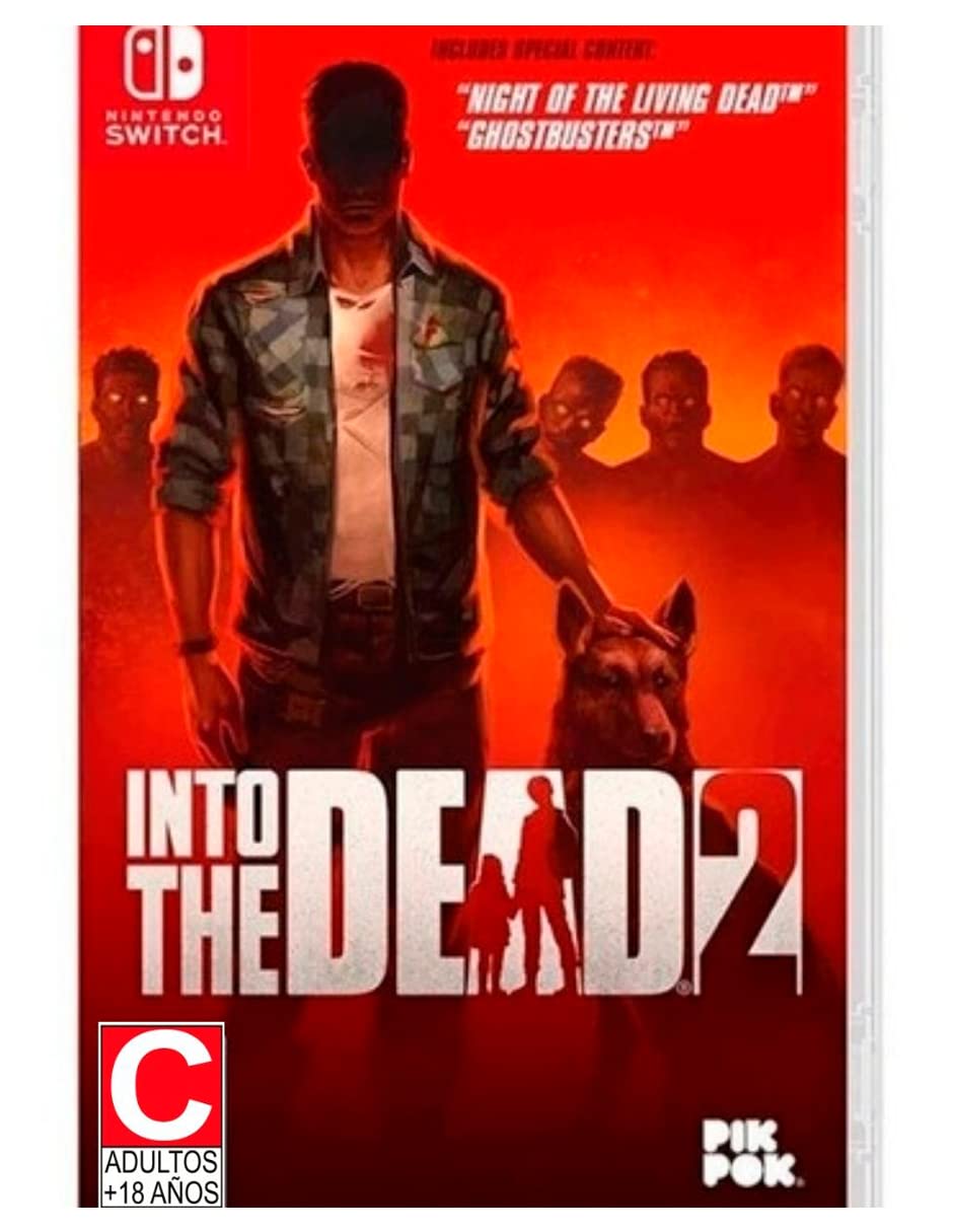 Into the Dead 2: Zombie Survival Game for Nintendo Switch - Action-Packed Horror Adventure for Home & Travel Gaming